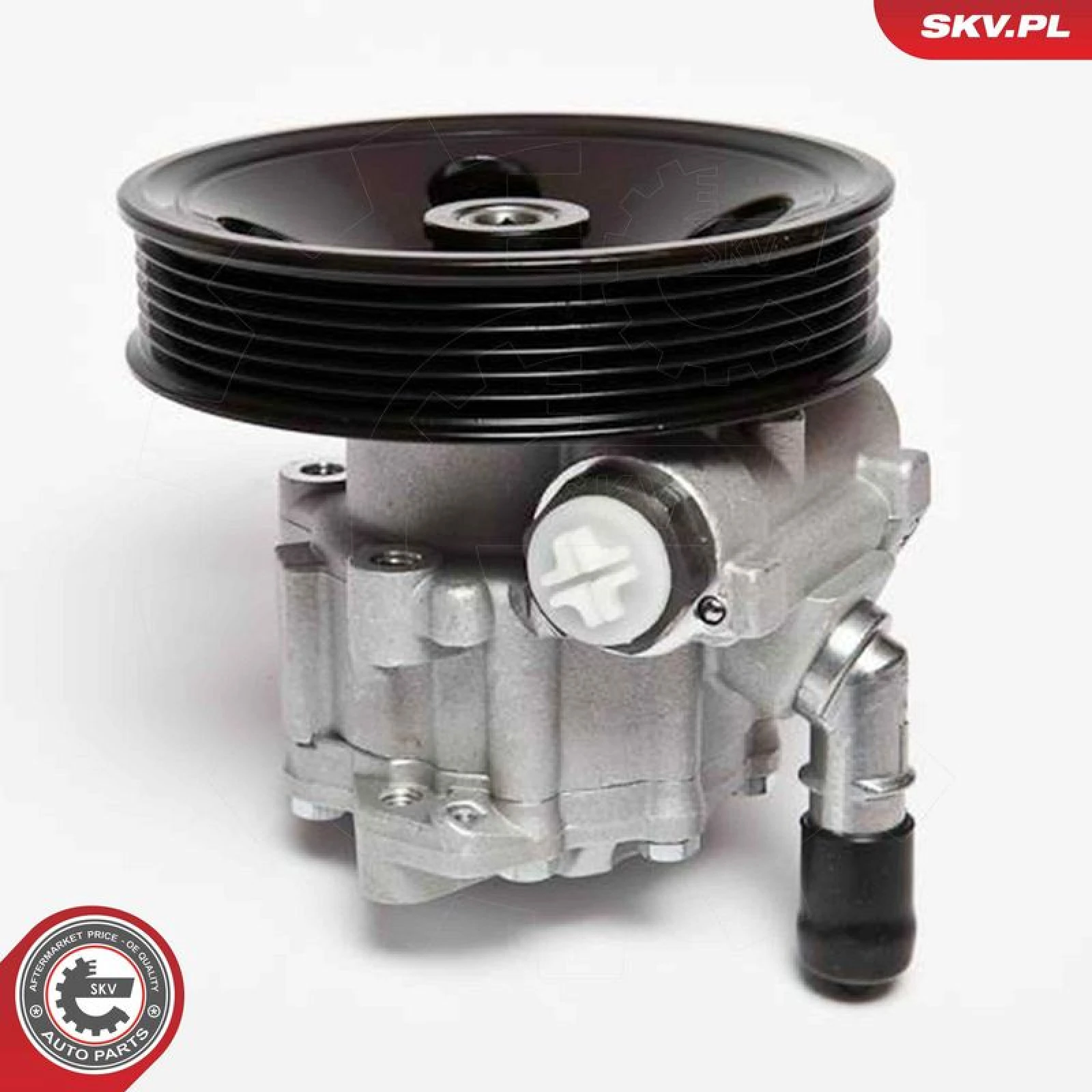SKV GERMANY Hydraulikpumpe 10SKV063