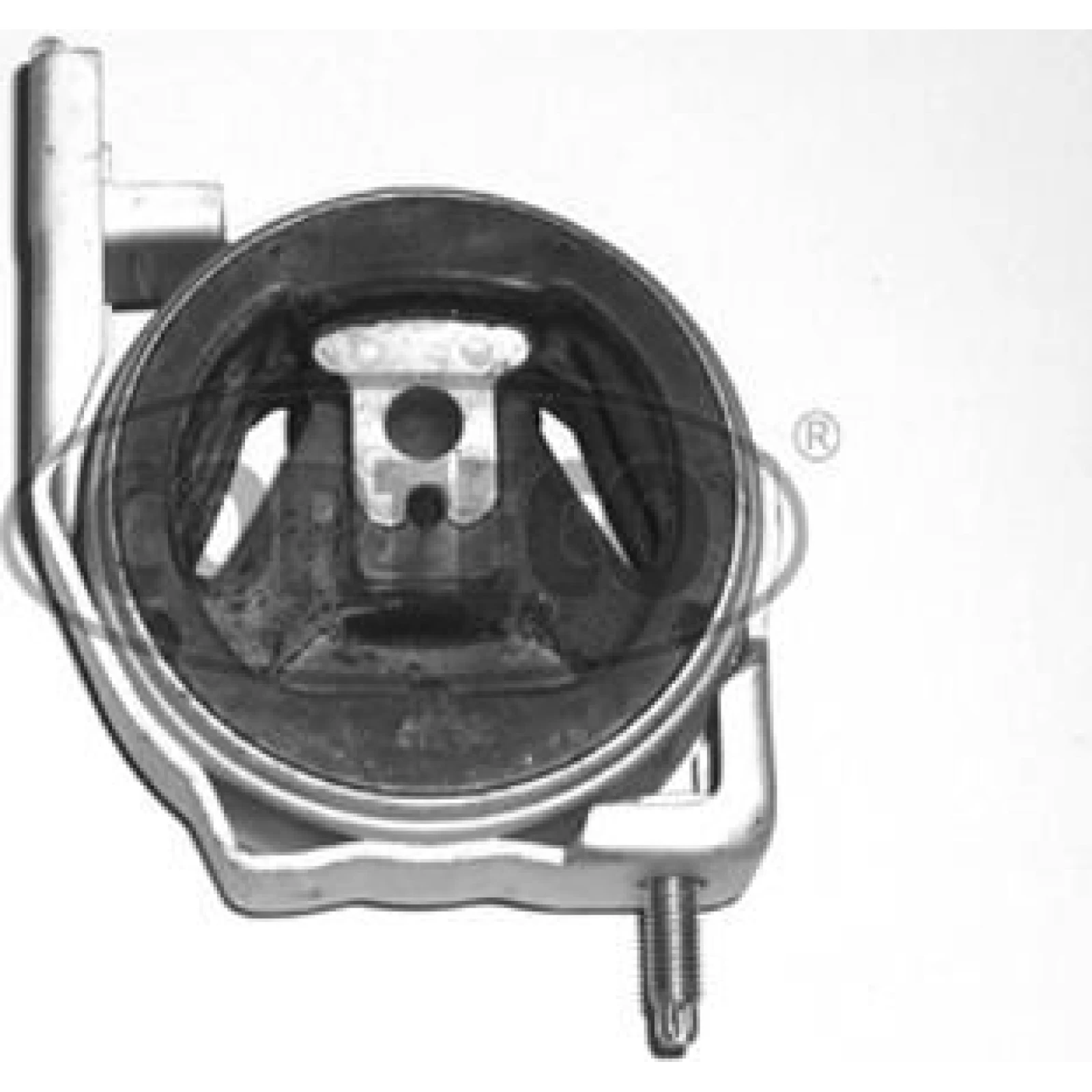 CORTECO Sparen 508972
