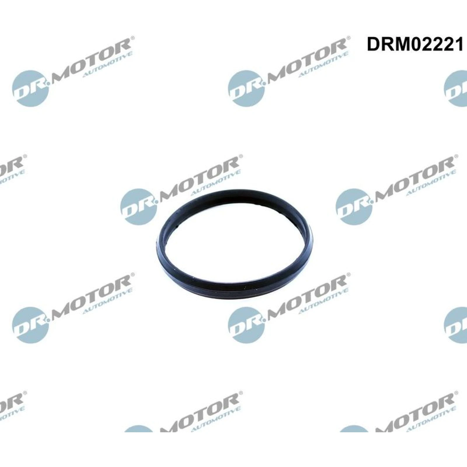 DICHTUNG, STEUERKETTENSPANNER DRM02221