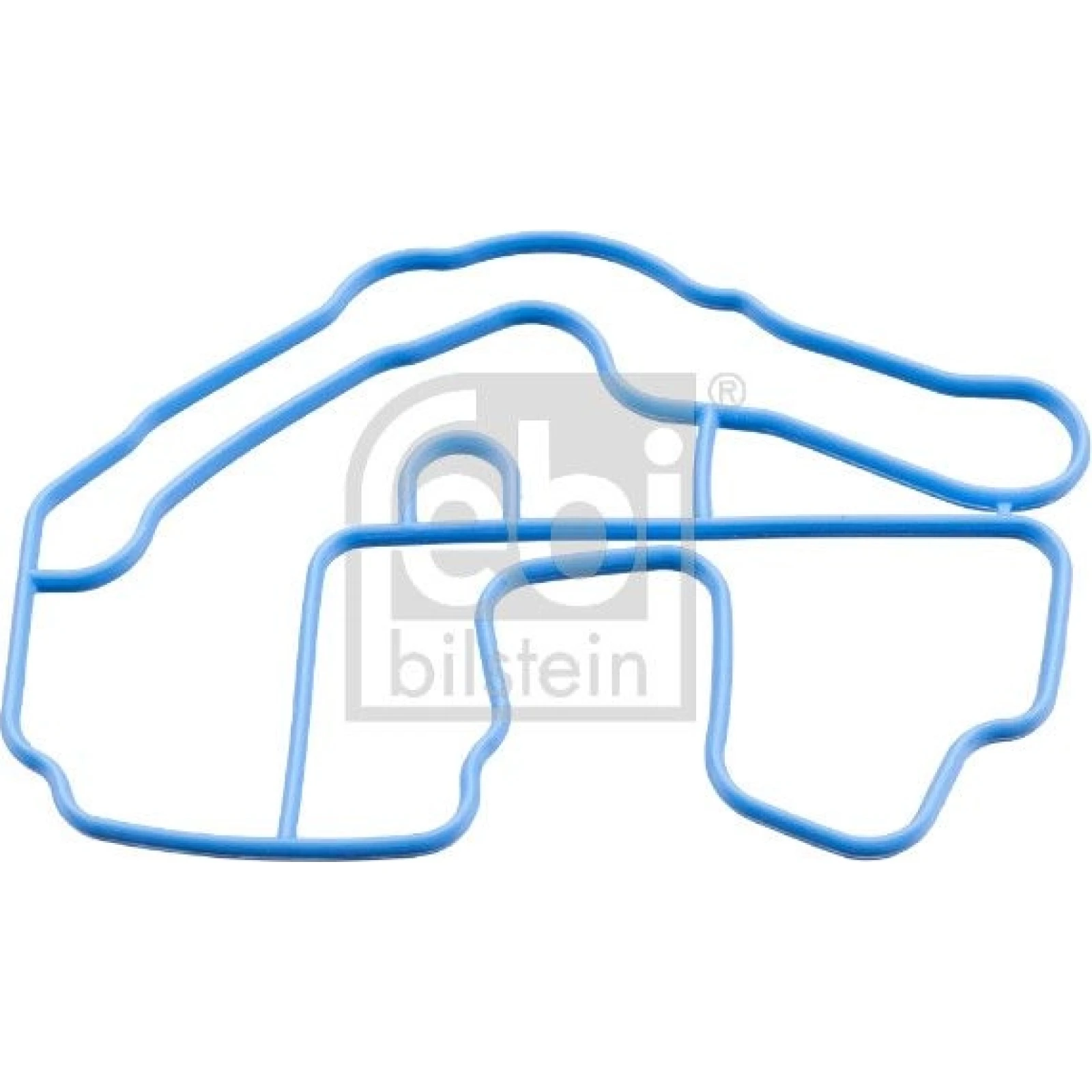 FEBI BILSTEIN Dichtung, Thermostatgehäuse 179662