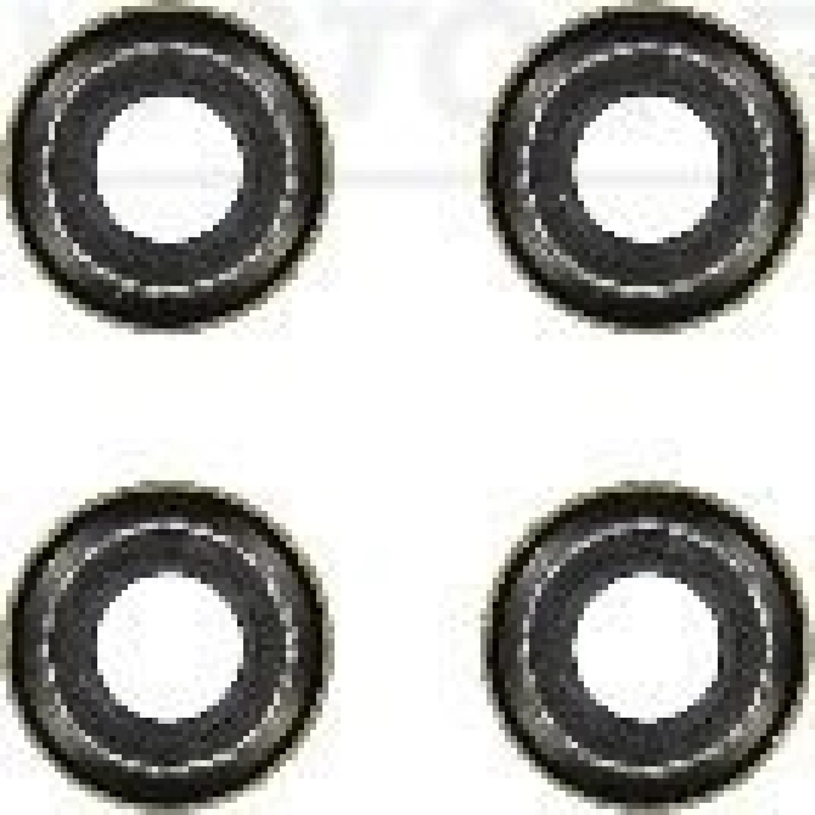 Dichtungssatz Ventilschaft 12-24491-01