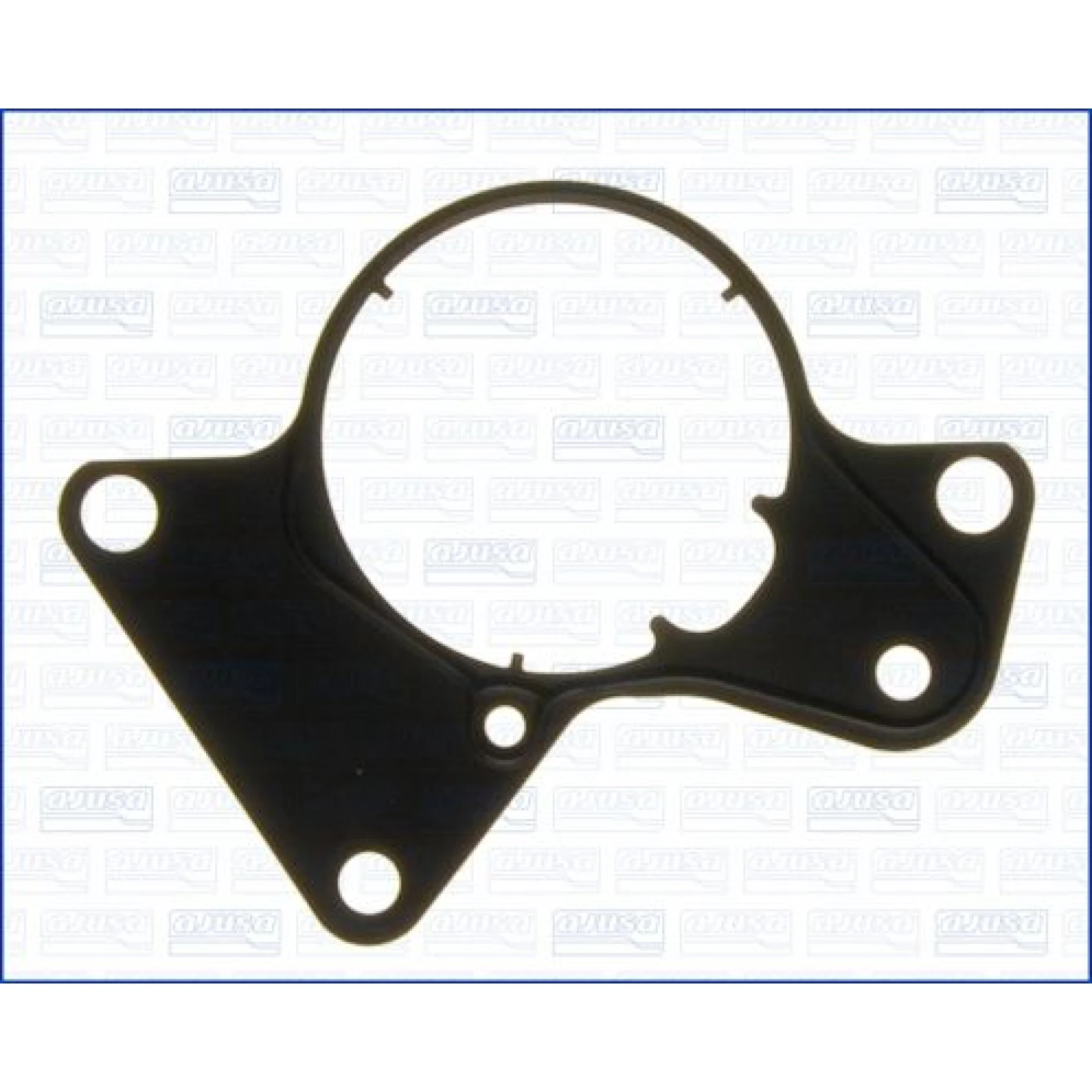 Dichtung, Kraftstoffpumpe 1080100
