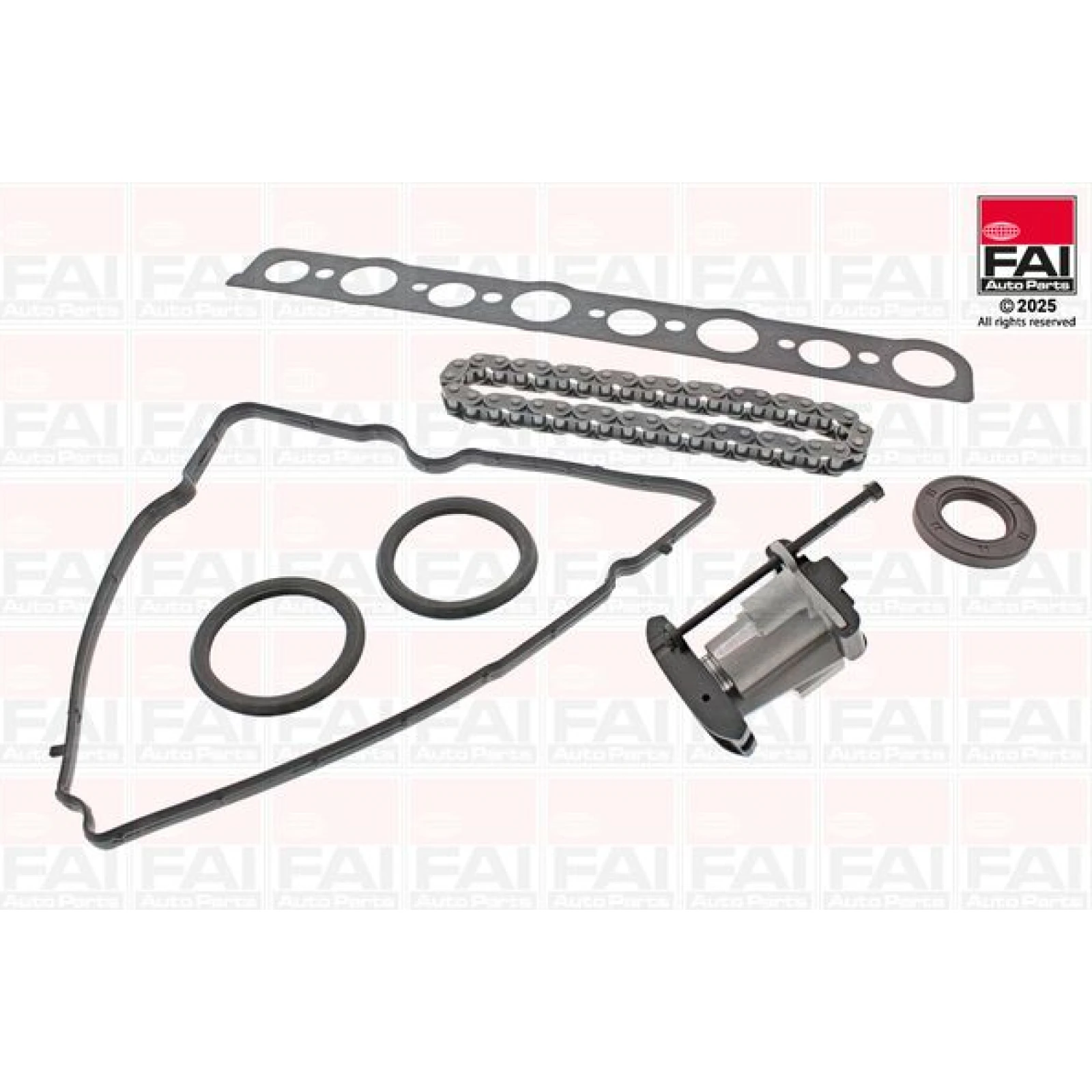 FAI AUTOPARTS Timing-Kit TCK100