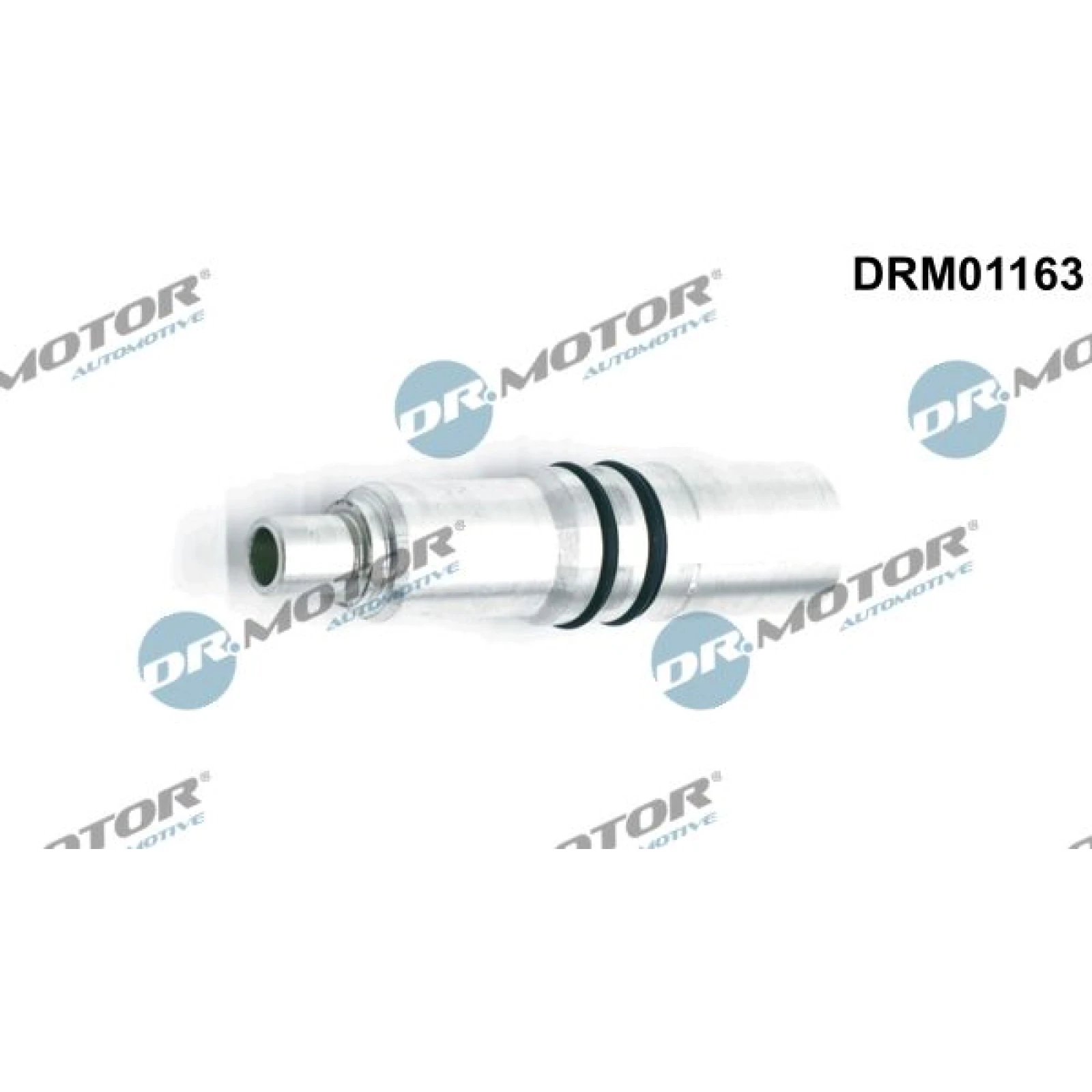 H Lse, D Senhalter DRM01163