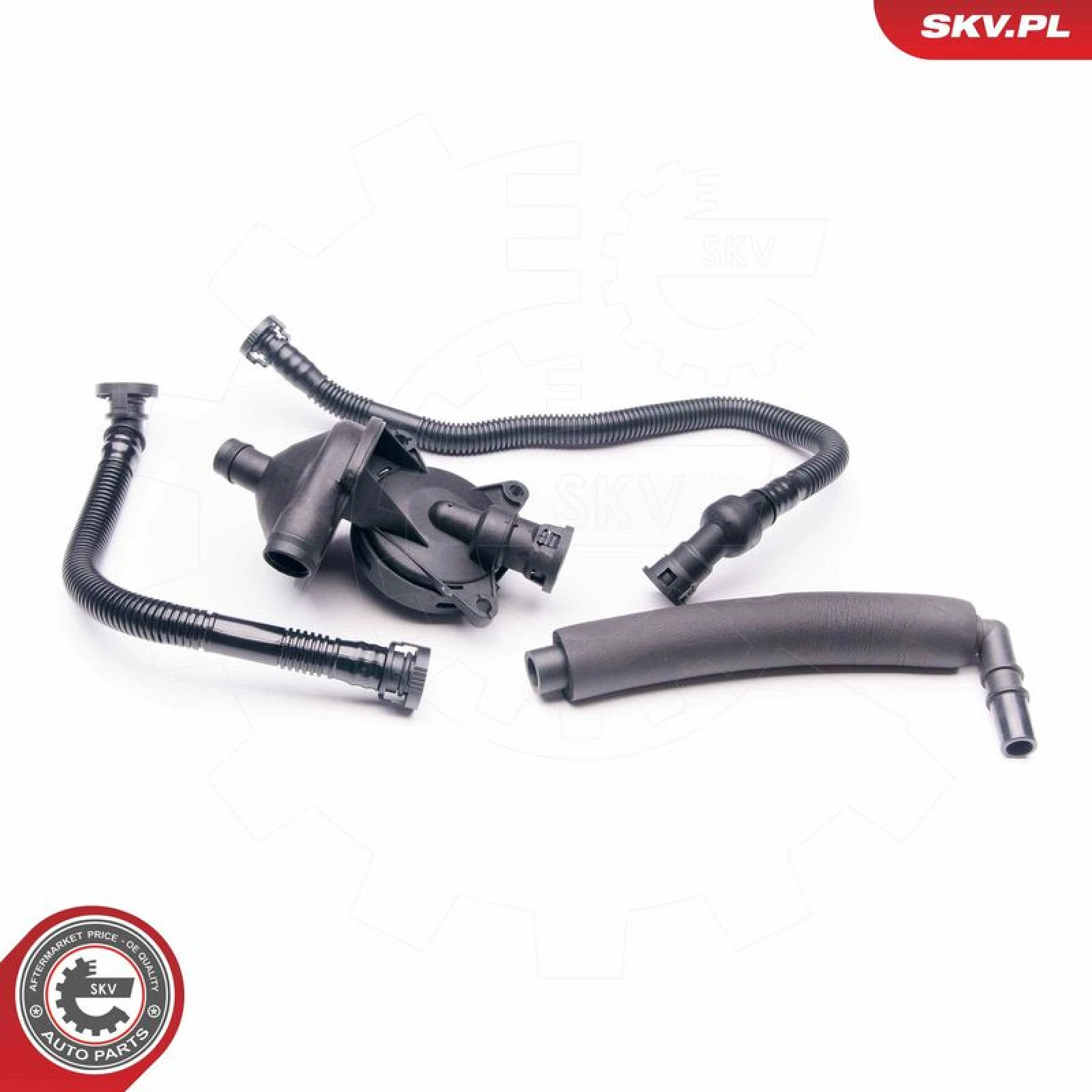 SKV GERMANY Reparatursatz, Kurbelgehäuseentlüftung 31SKV042