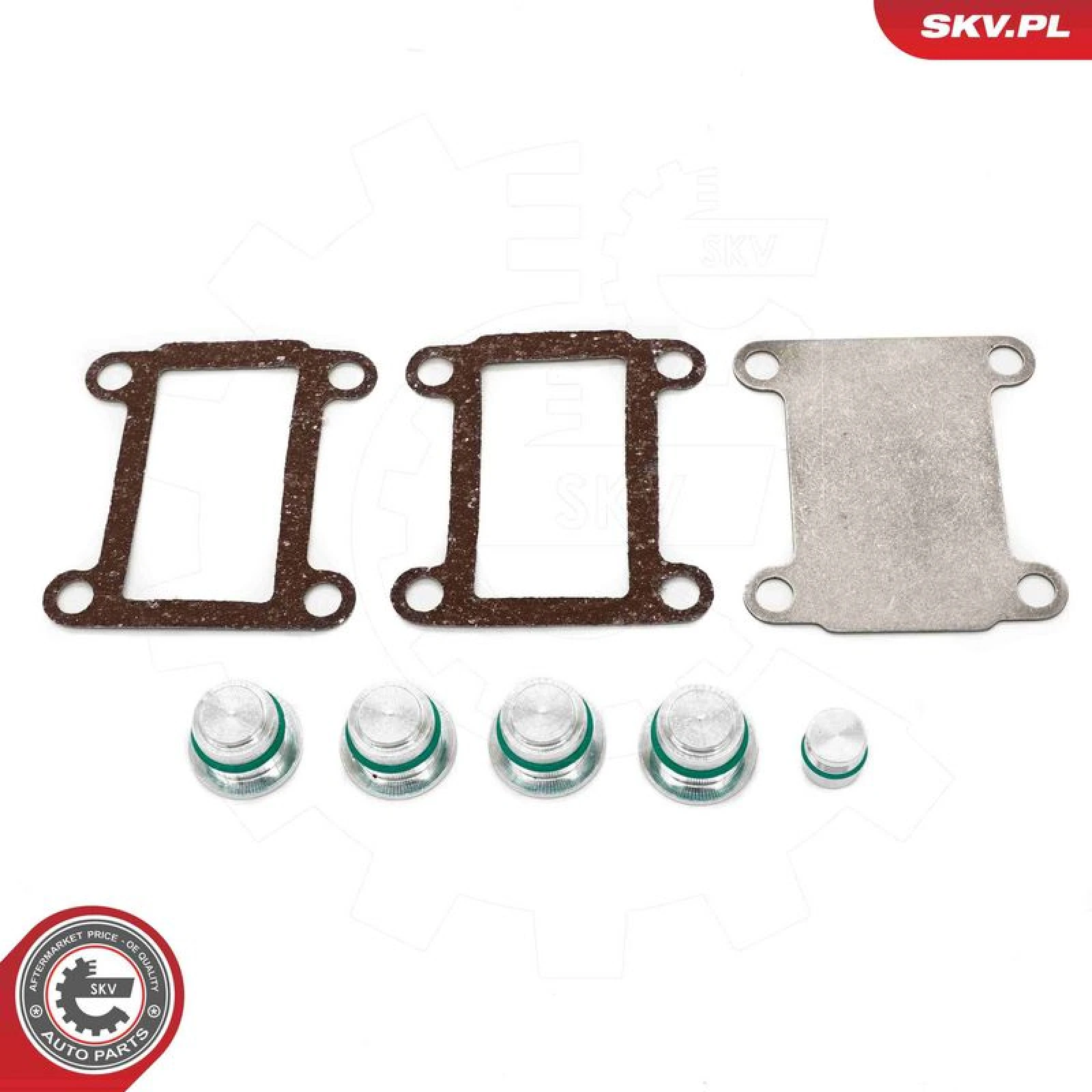 ESEN SKV Reparatursatz, Saugrohrmodul 49SKV525