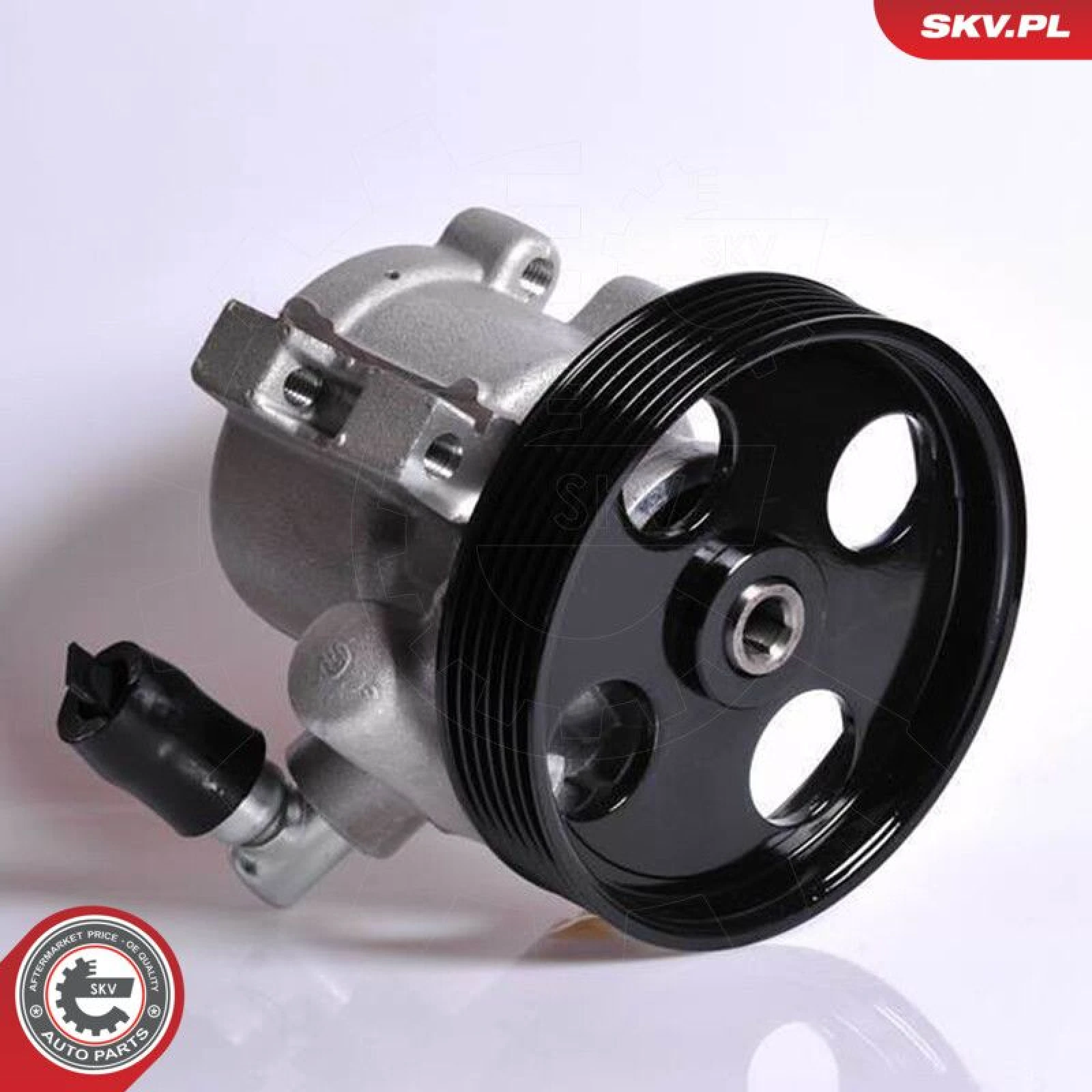 SKV GERMANY Hydraulikpumpe 10SKV138