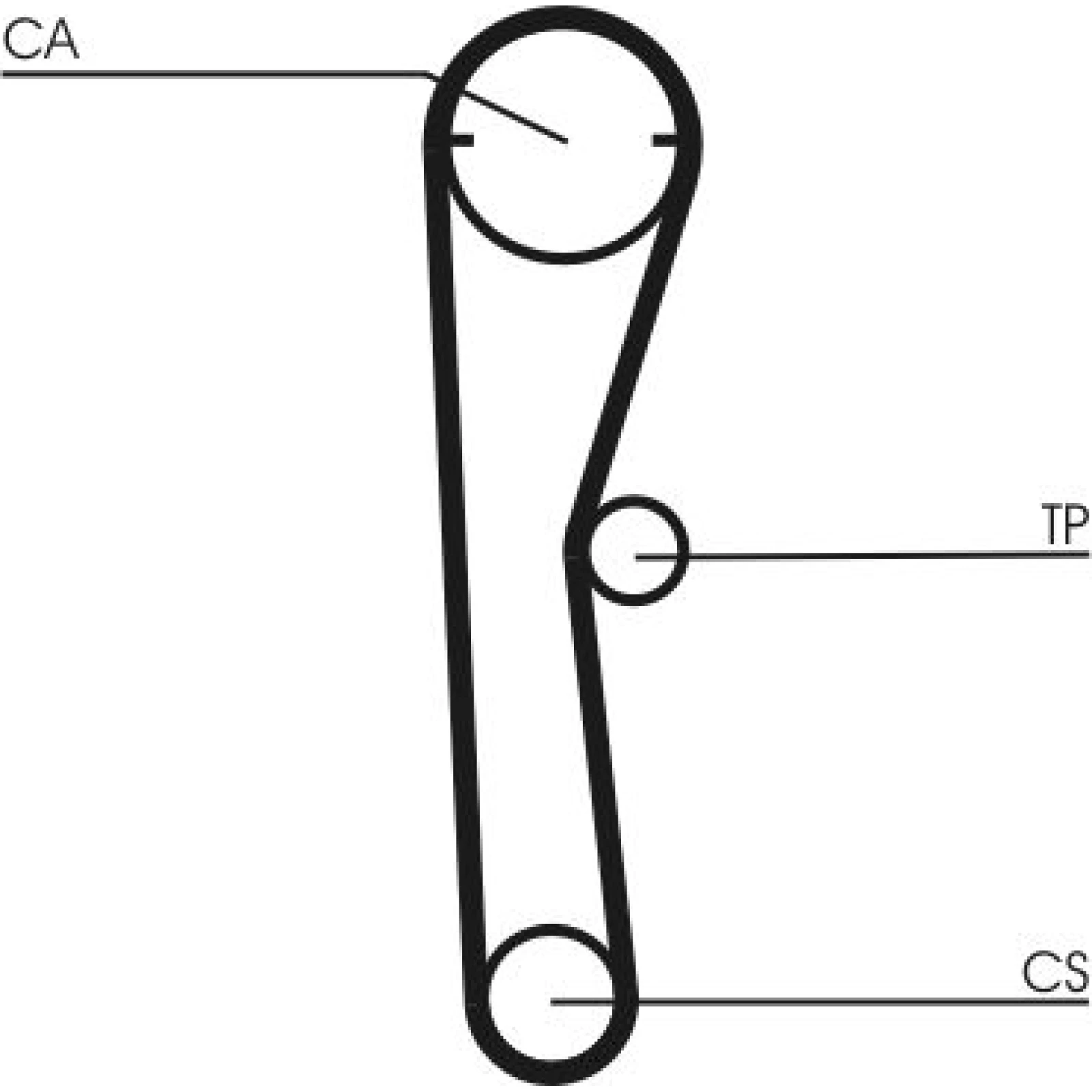 Continental CTAM Zahnriemen CT669