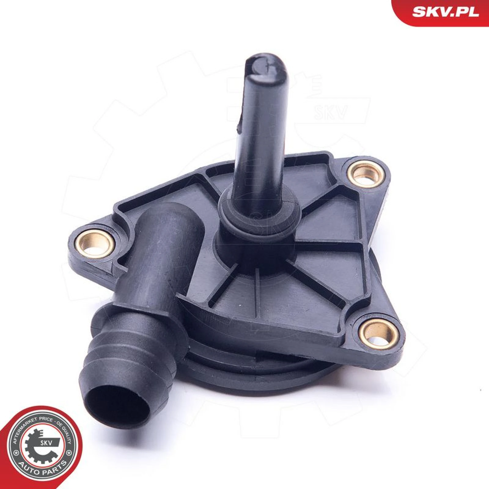 SKV GERMANY Ventil 31SKV075