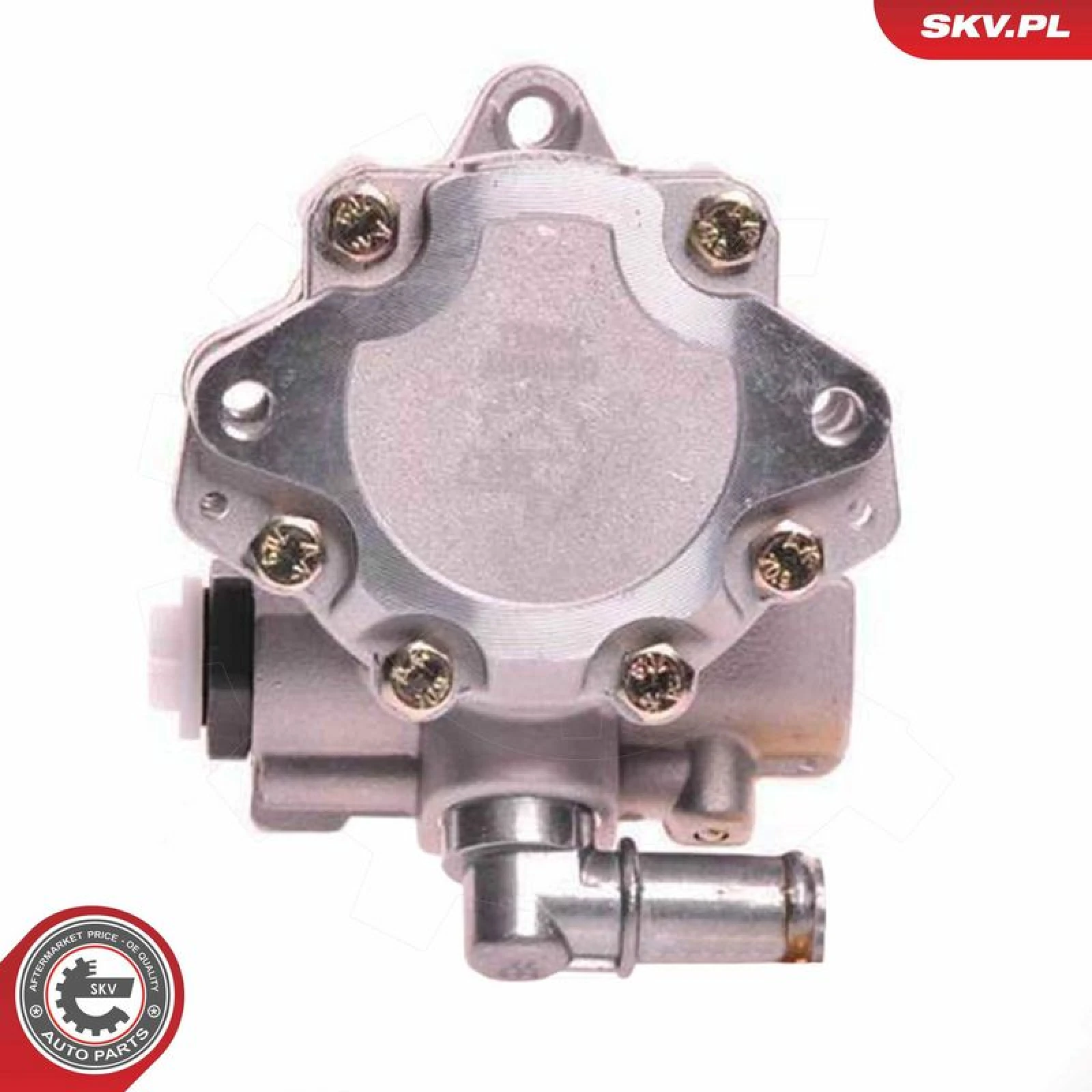 SKV GERMANY Hydraulikpumpe 10SKV117