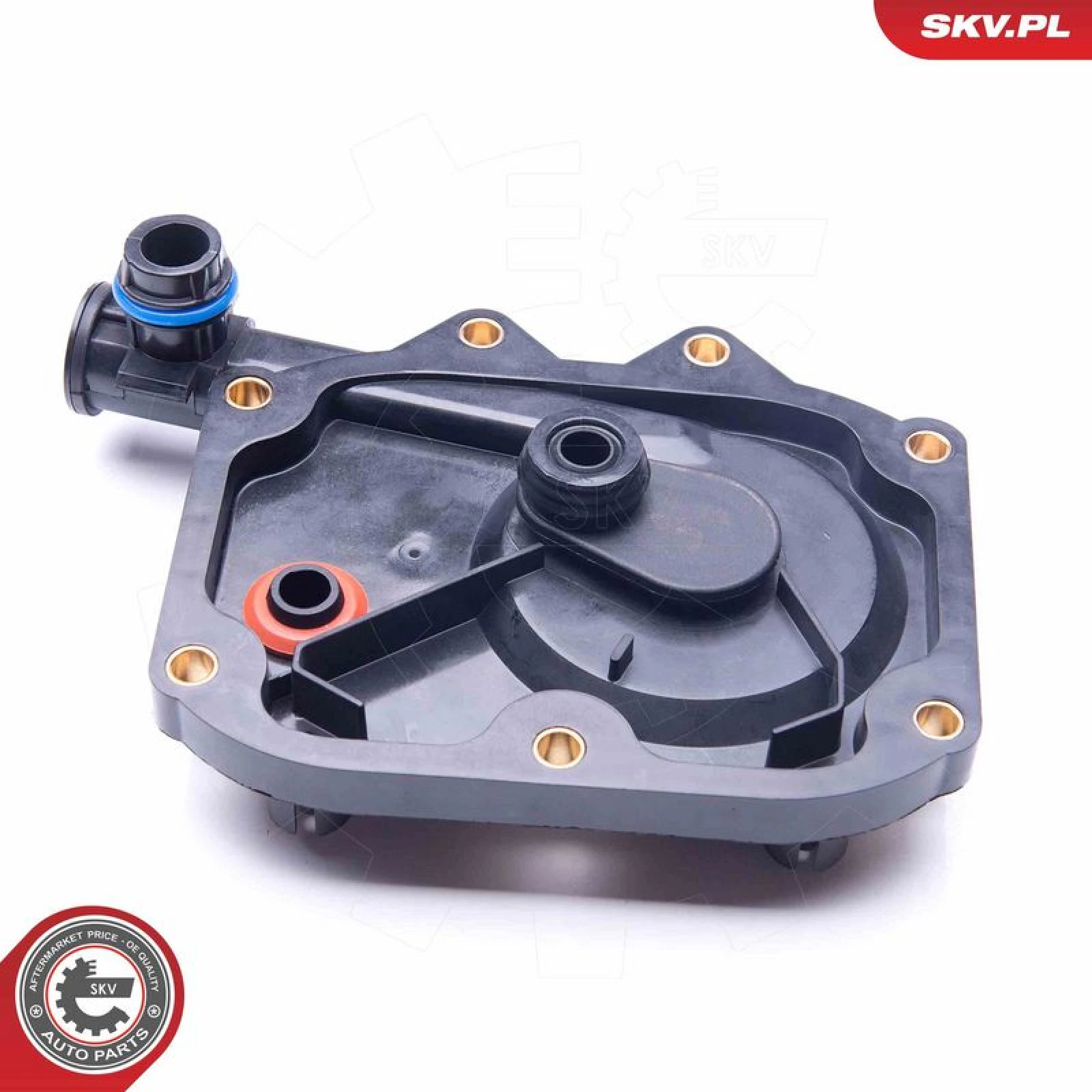 SKV GERMANY Ventil 31SKV067