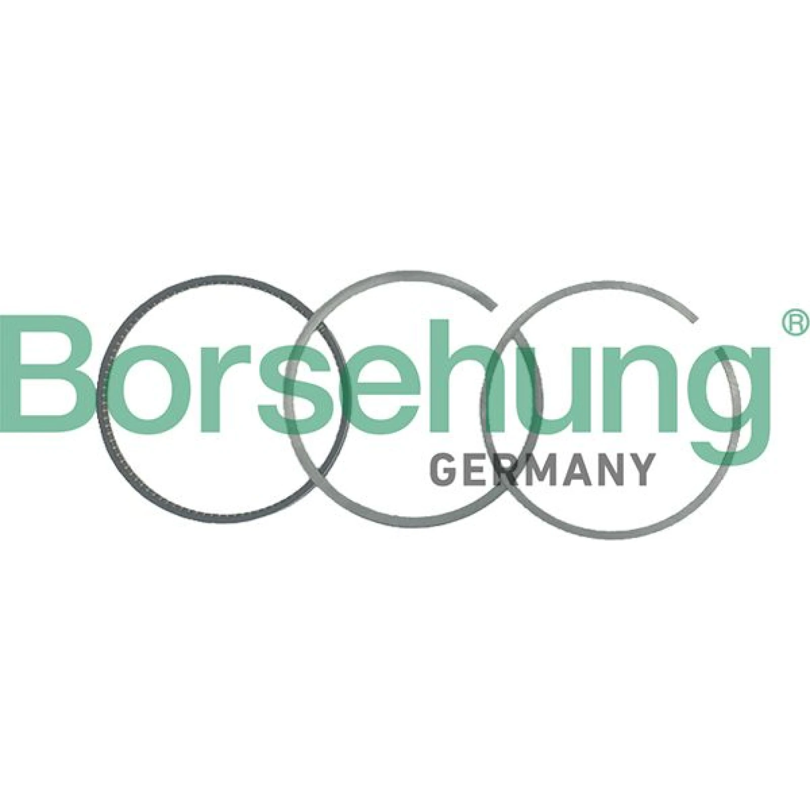BORSEHUNG Kolbenringsatz B19040