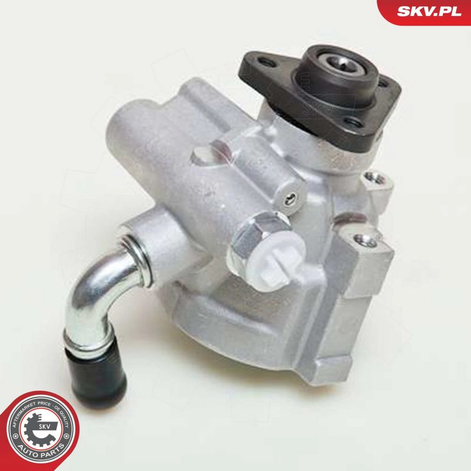 SKV GERMANY Hydraulikpumpe 10SKV061