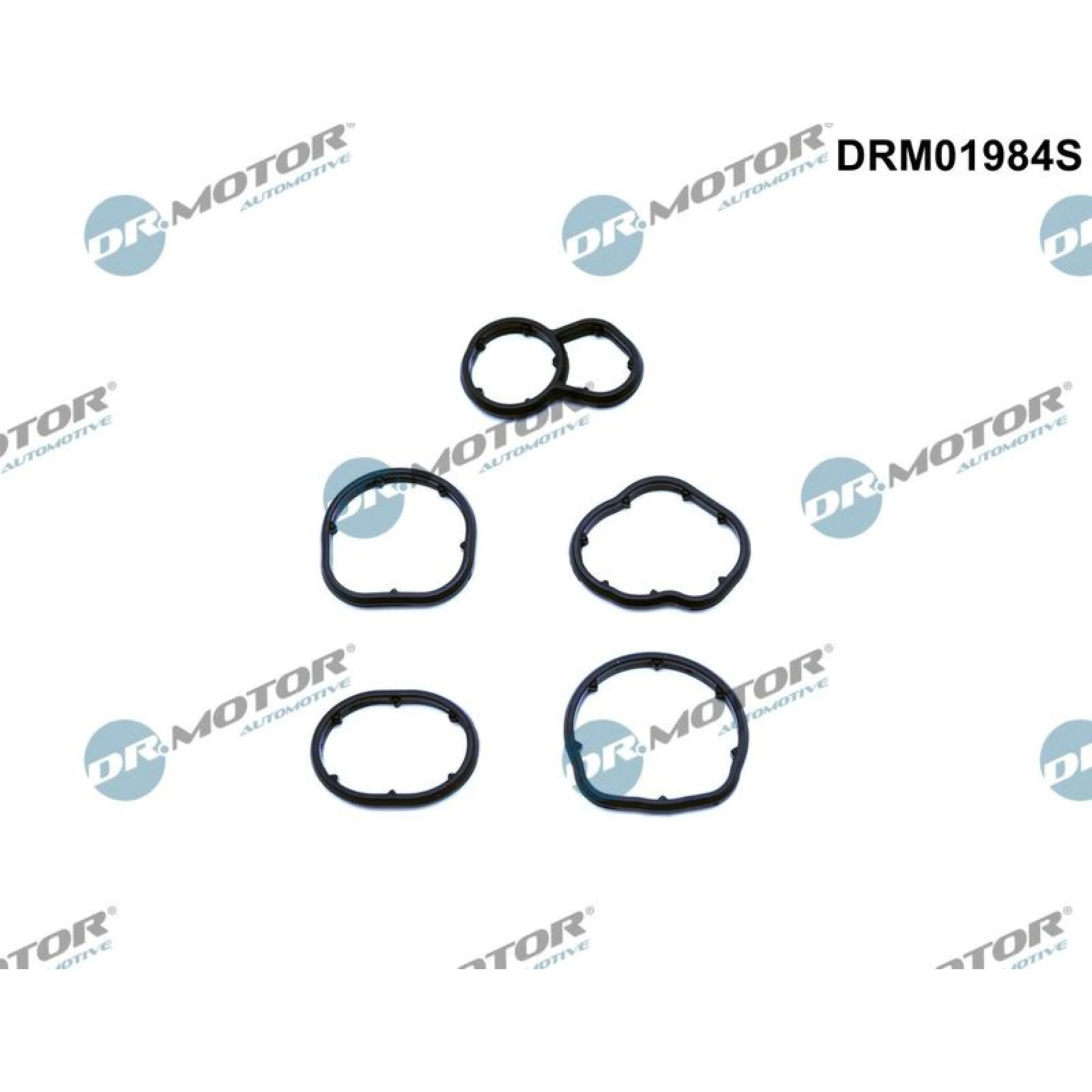 DR.MOTOR Ölfiltergehäusedichtung DRM01984S