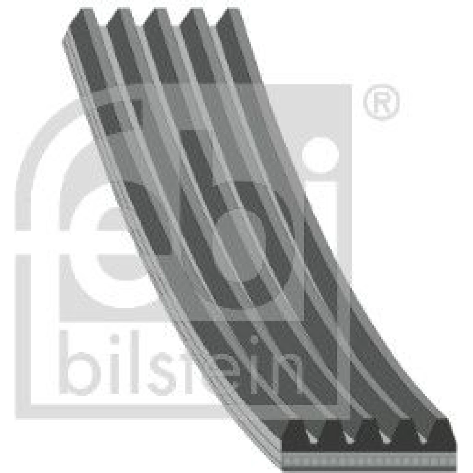 FEBI BILSTEIN Rillenriemen 28856
