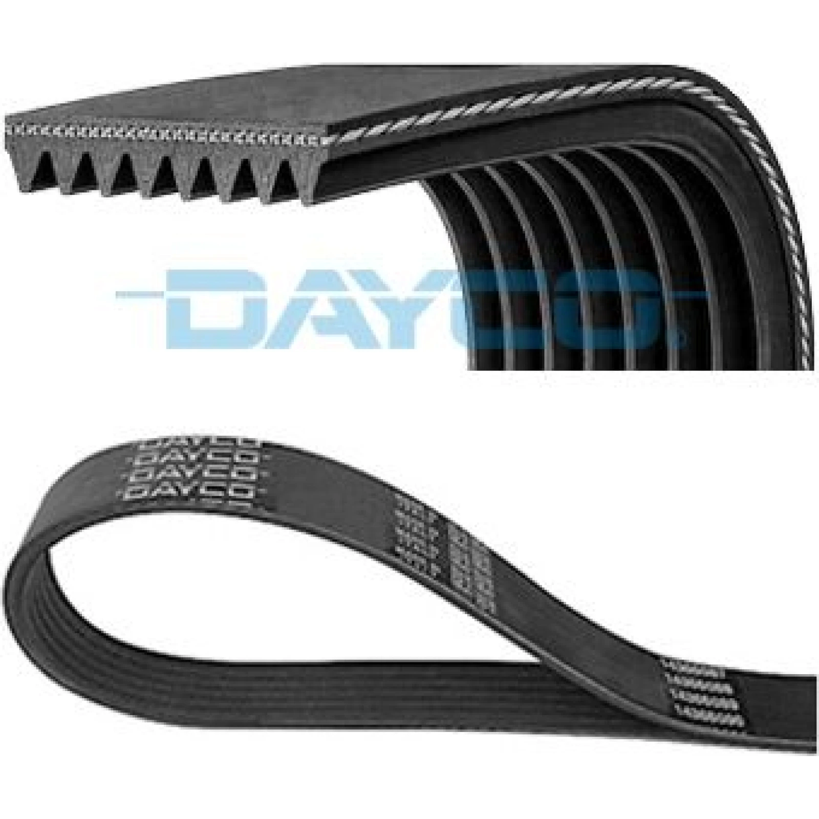 KEILRIPPENRIEMEN 8PK2065HD 8PK2065HDDAY