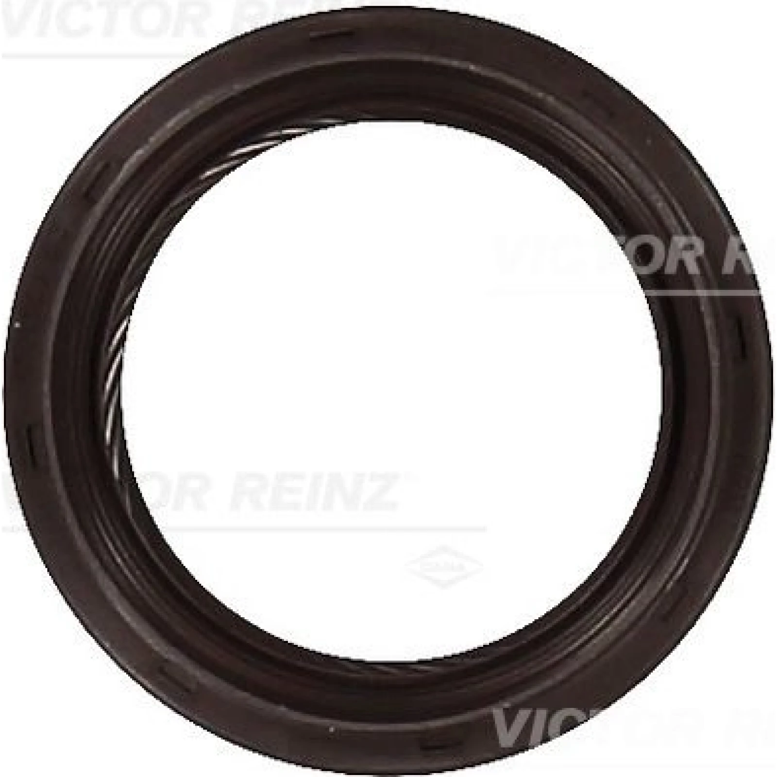 Wellendichtring, Kurbelwelle 81-10592-00