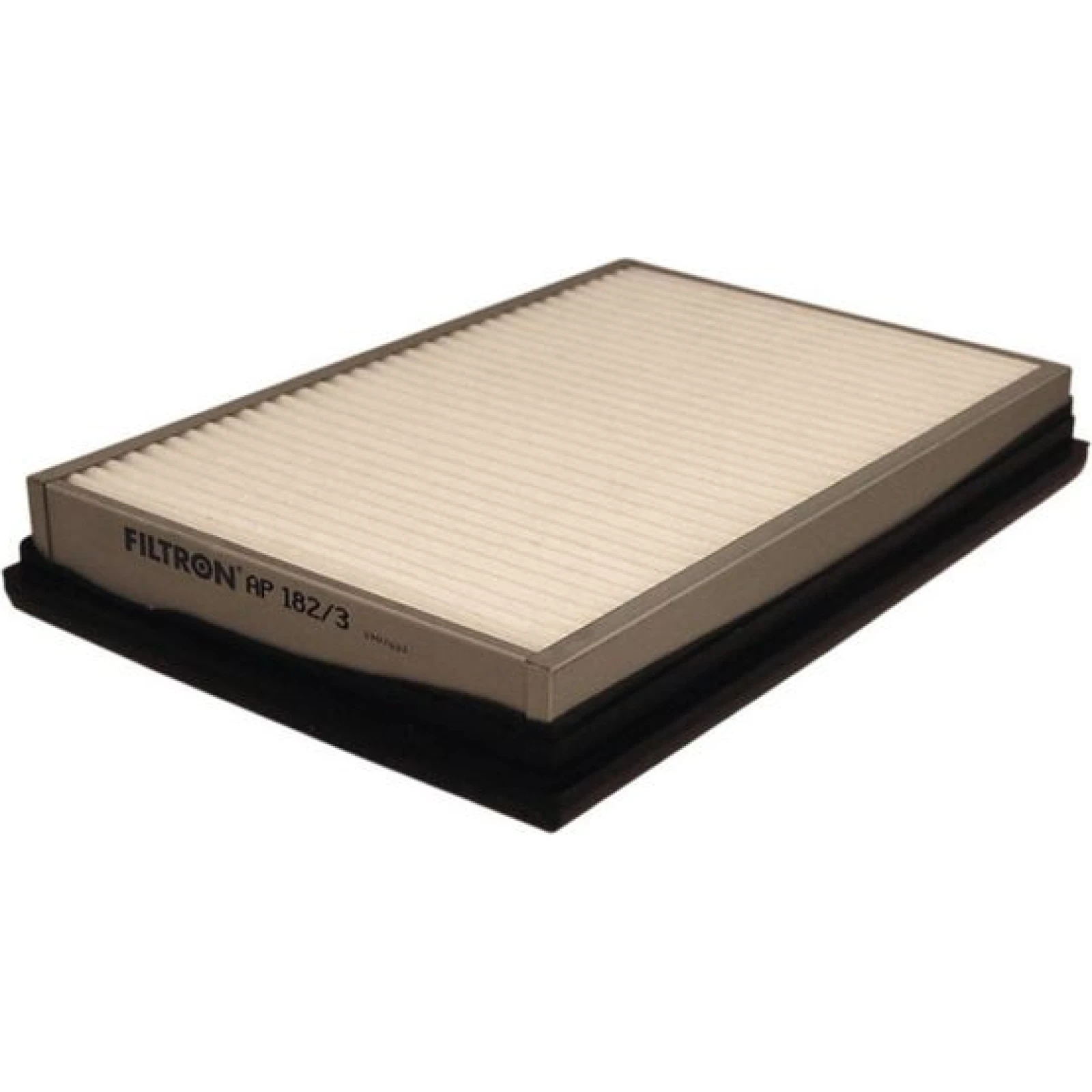 FILTRON Luftfilter AP 182/3