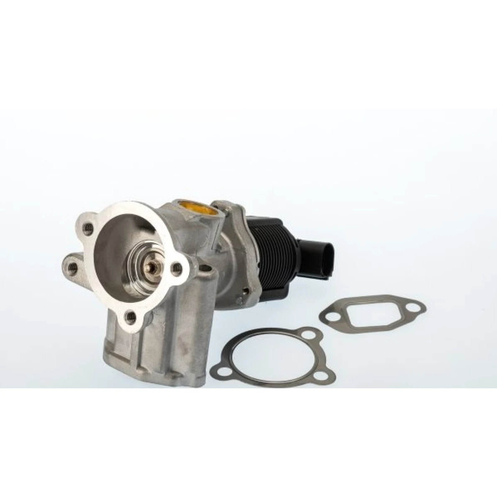710773D/1 BorgWarner (Wahler) AGR-Ventil 710773D/1