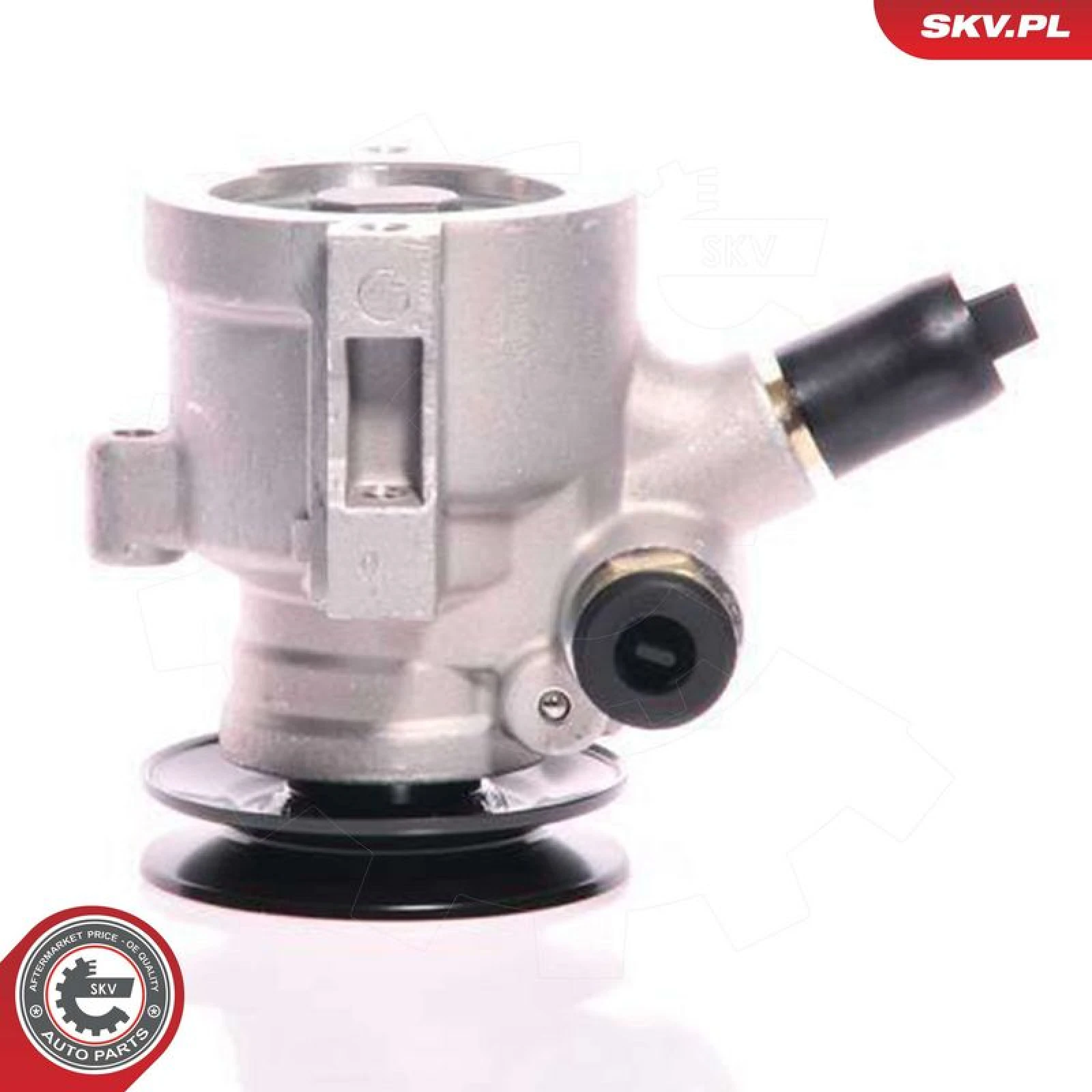 SKV GERMANY Hydraulikpumpe 10SKV118