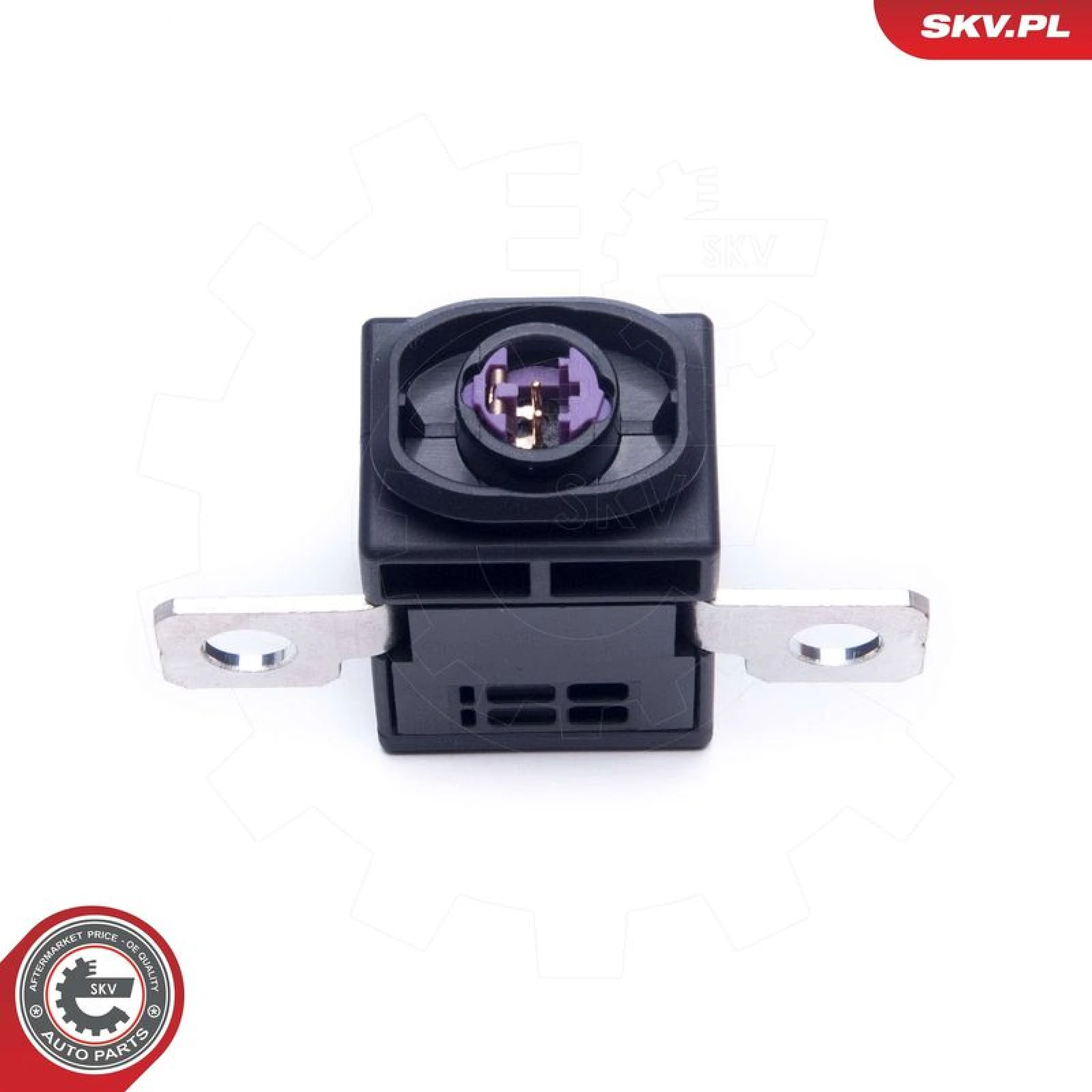 ESEN SKV Sensor, Batteriemanagement 96SKV318