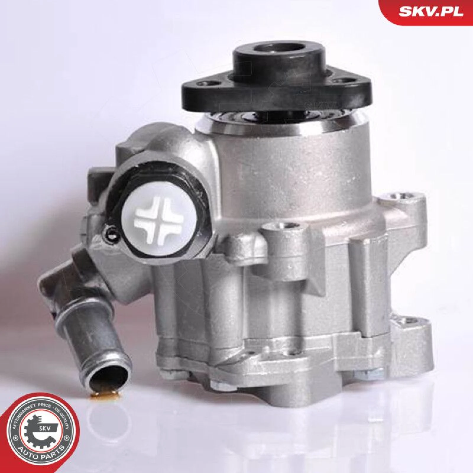 SKV GERMANY Hydraulikpumpe 10SKV167
