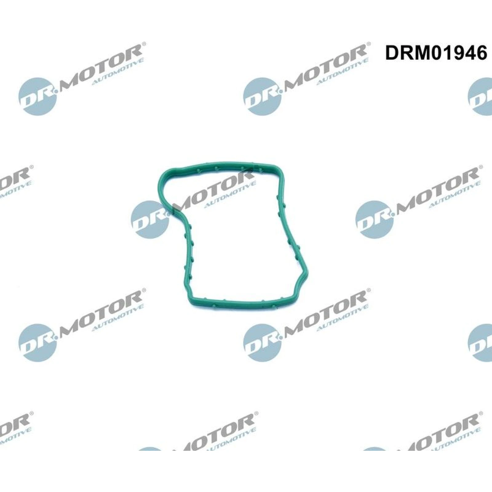 Dichtung, KurbelgehäUseentl Ftung DRM01946