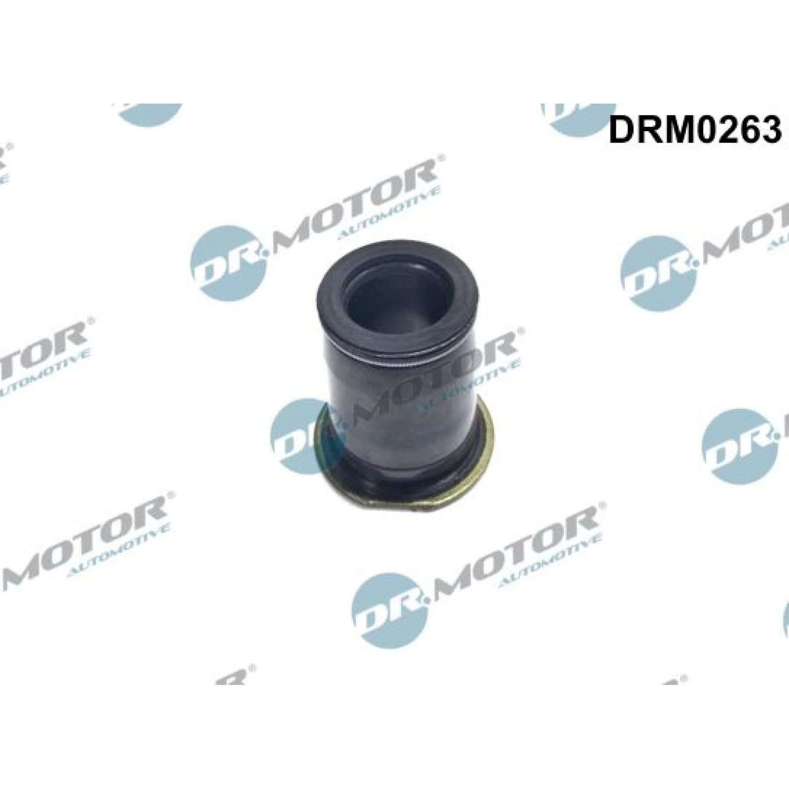 DR.MOTOR Dichtungssatz Einspritzdüse DRM0263