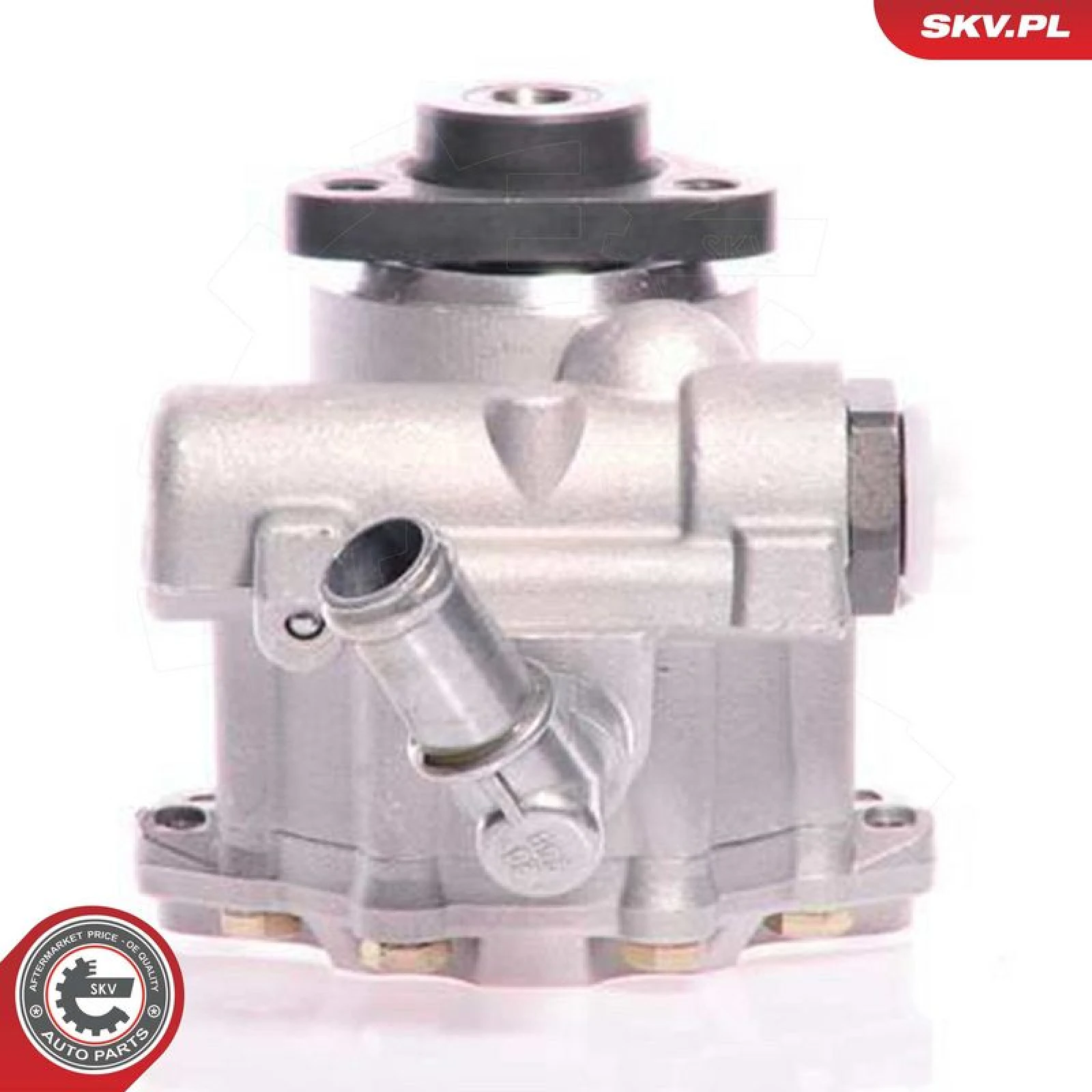 SKV GERMANY Hydraulikpumpe 10SKV161