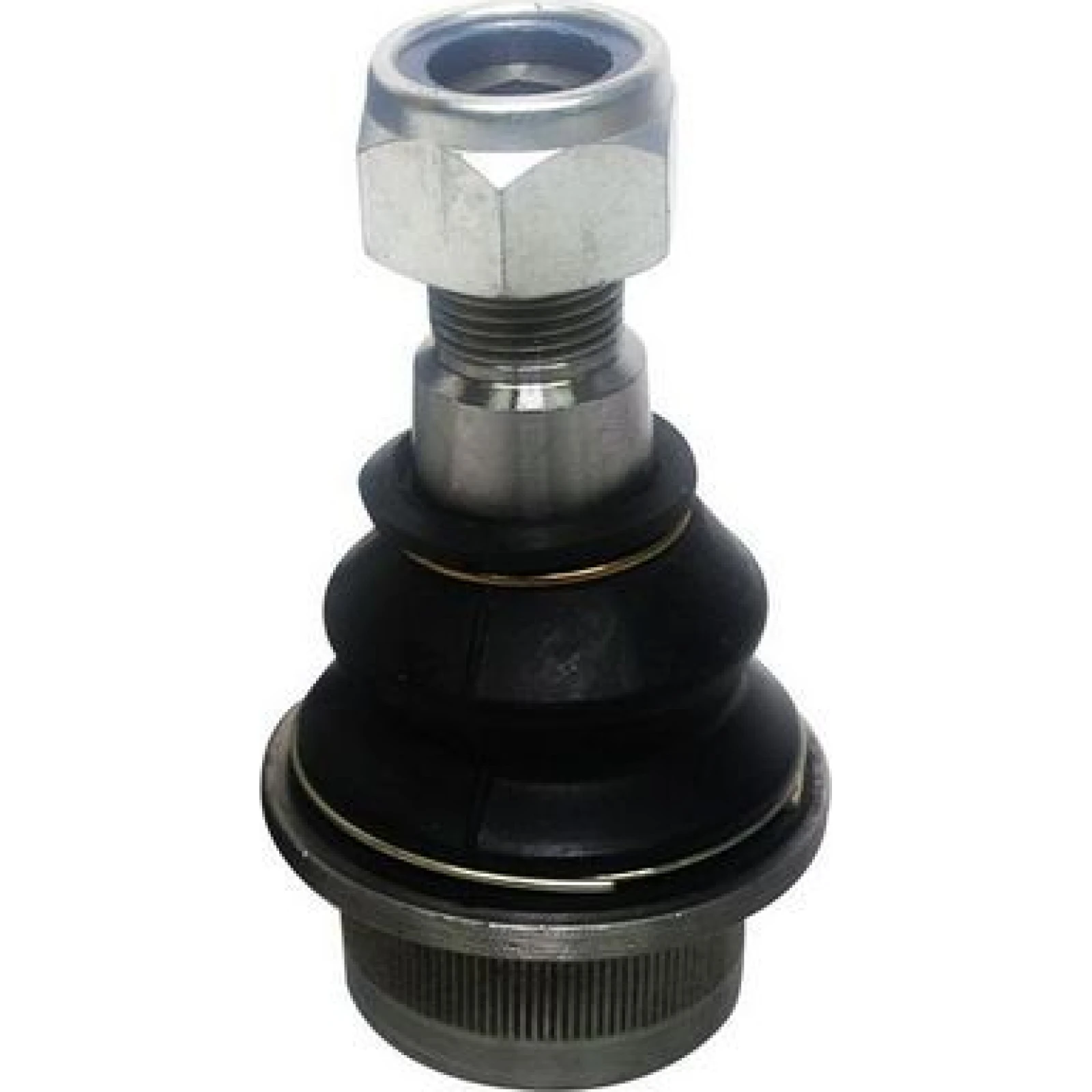DENCKERMANN Schulterklopfen D110033