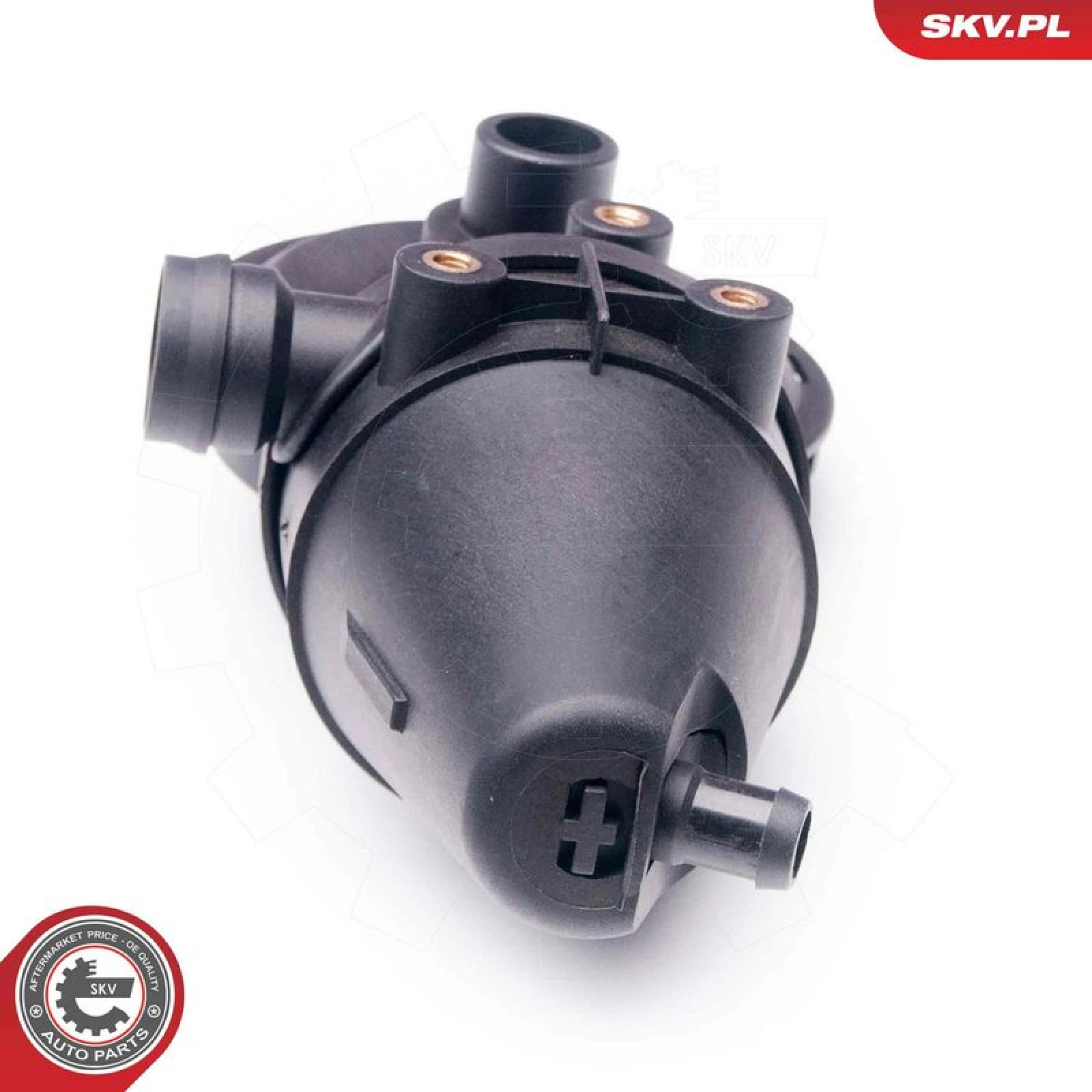 SKV GERMANY Reparatursatz, Kurbelgehäuseentlüftung 31SKV039