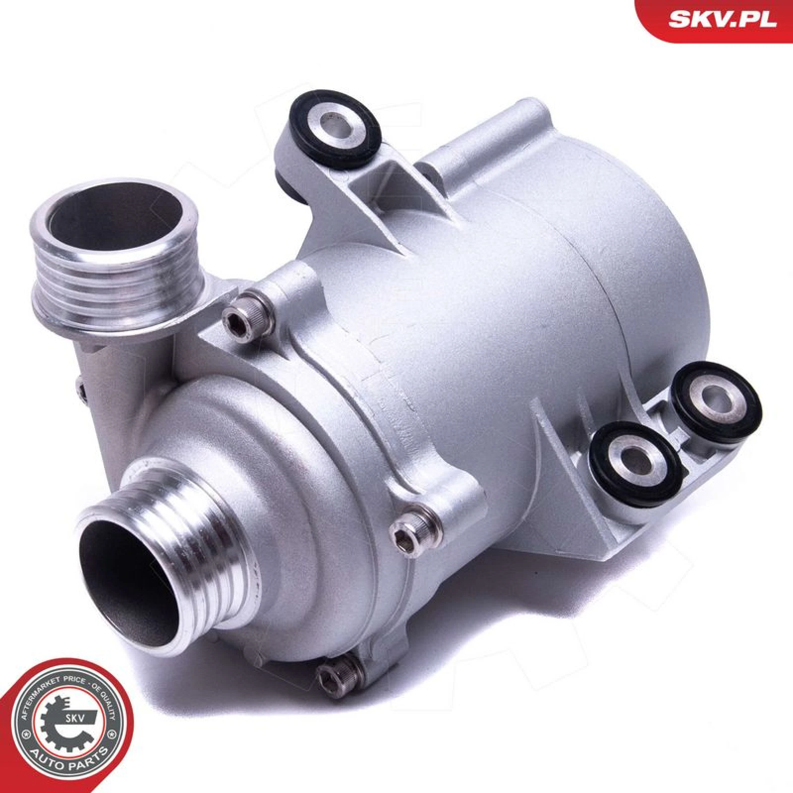 ESEN SKV Wasserpumpe / Kühlmittelpumpe 22SKV055