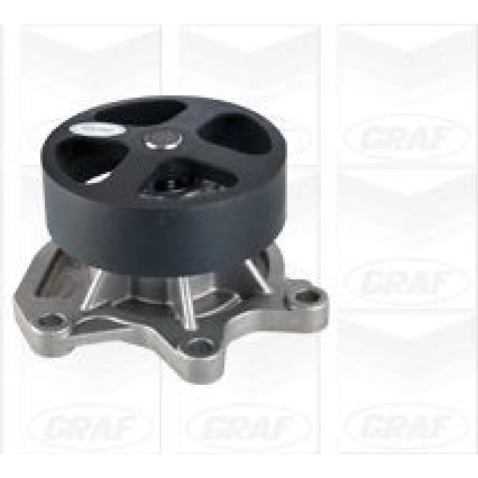PA 1172 Wasserpumpe PA1172