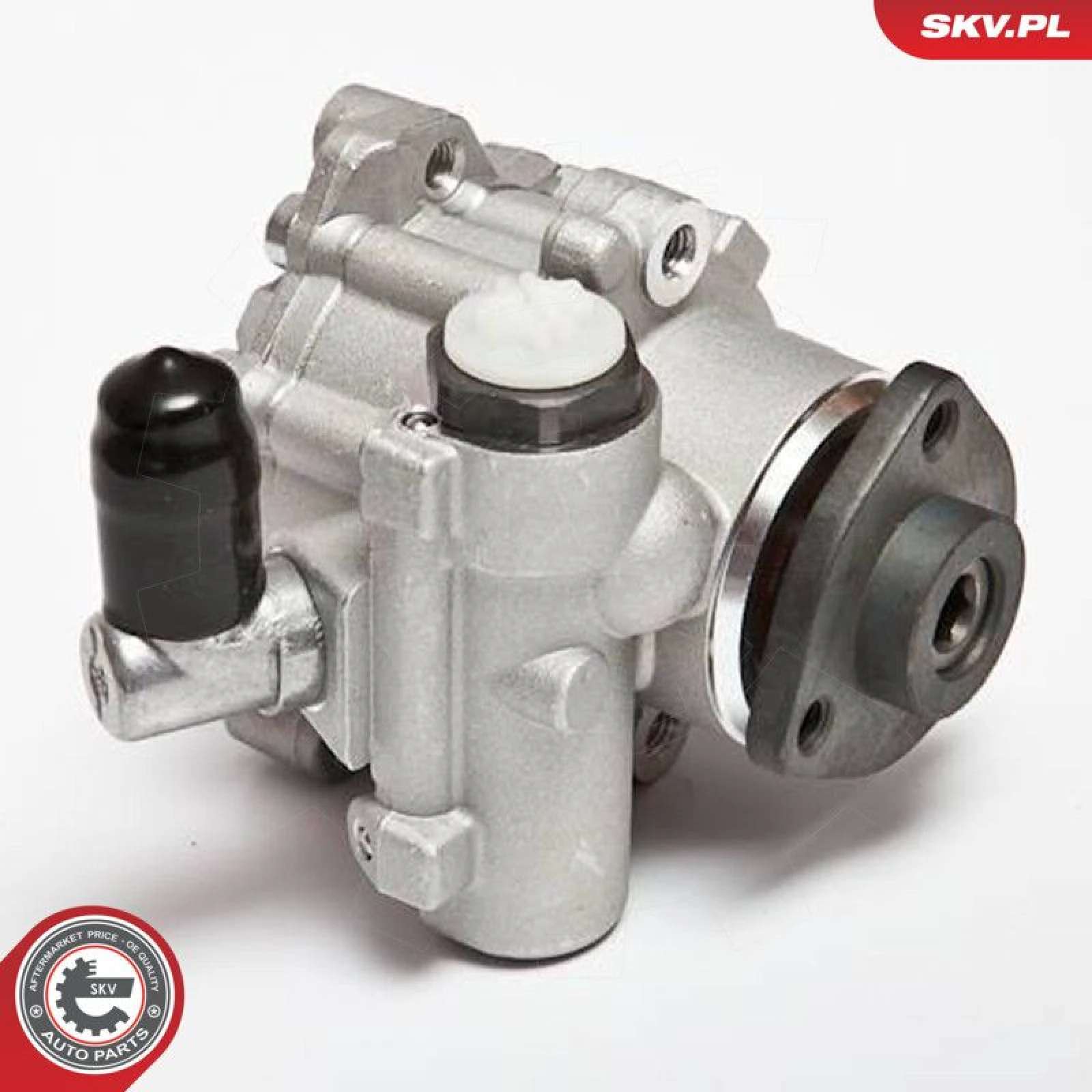 SKV GERMANY Hydraulikpumpe 10SKV043