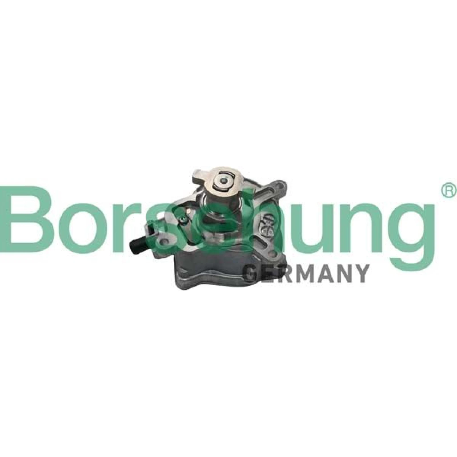 BORSEHUNG Vakuumpumpe B18774
