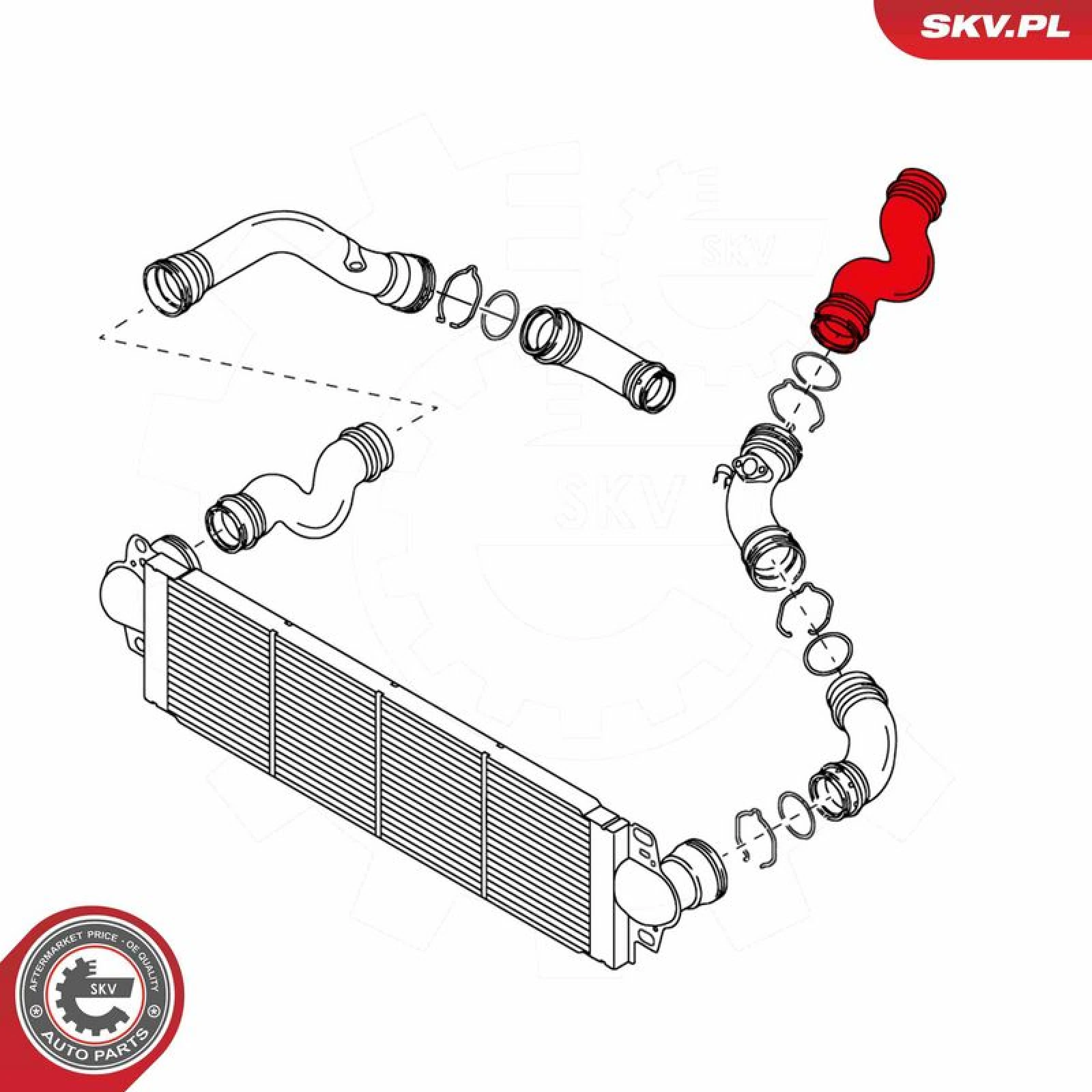 SKV GERMANY Luftschlauch 24SKV017