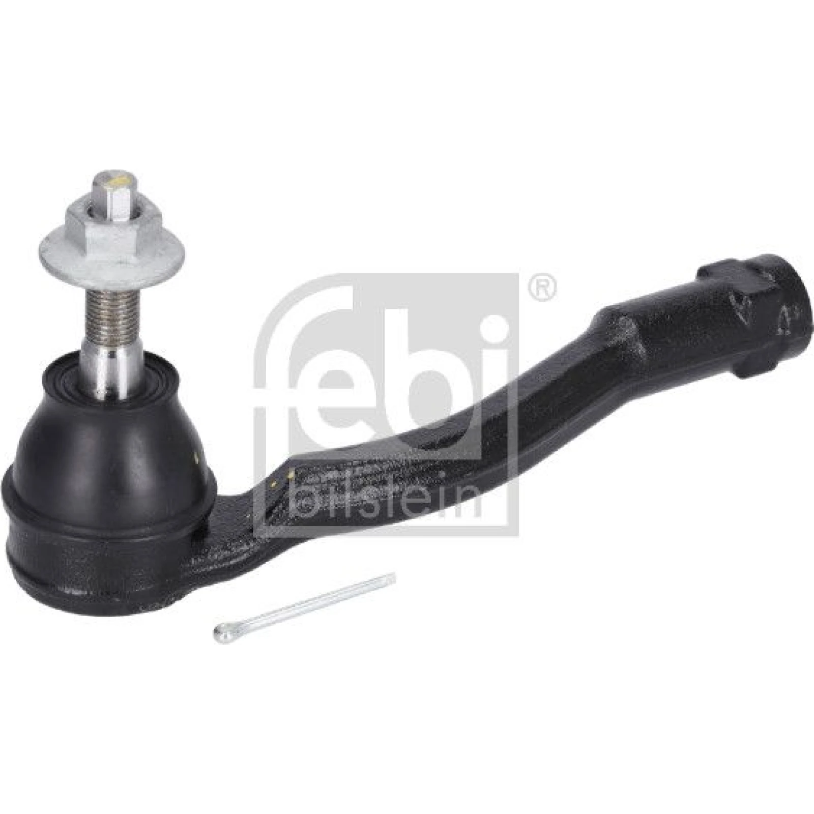 SPURSTANGENKOPF FE184965