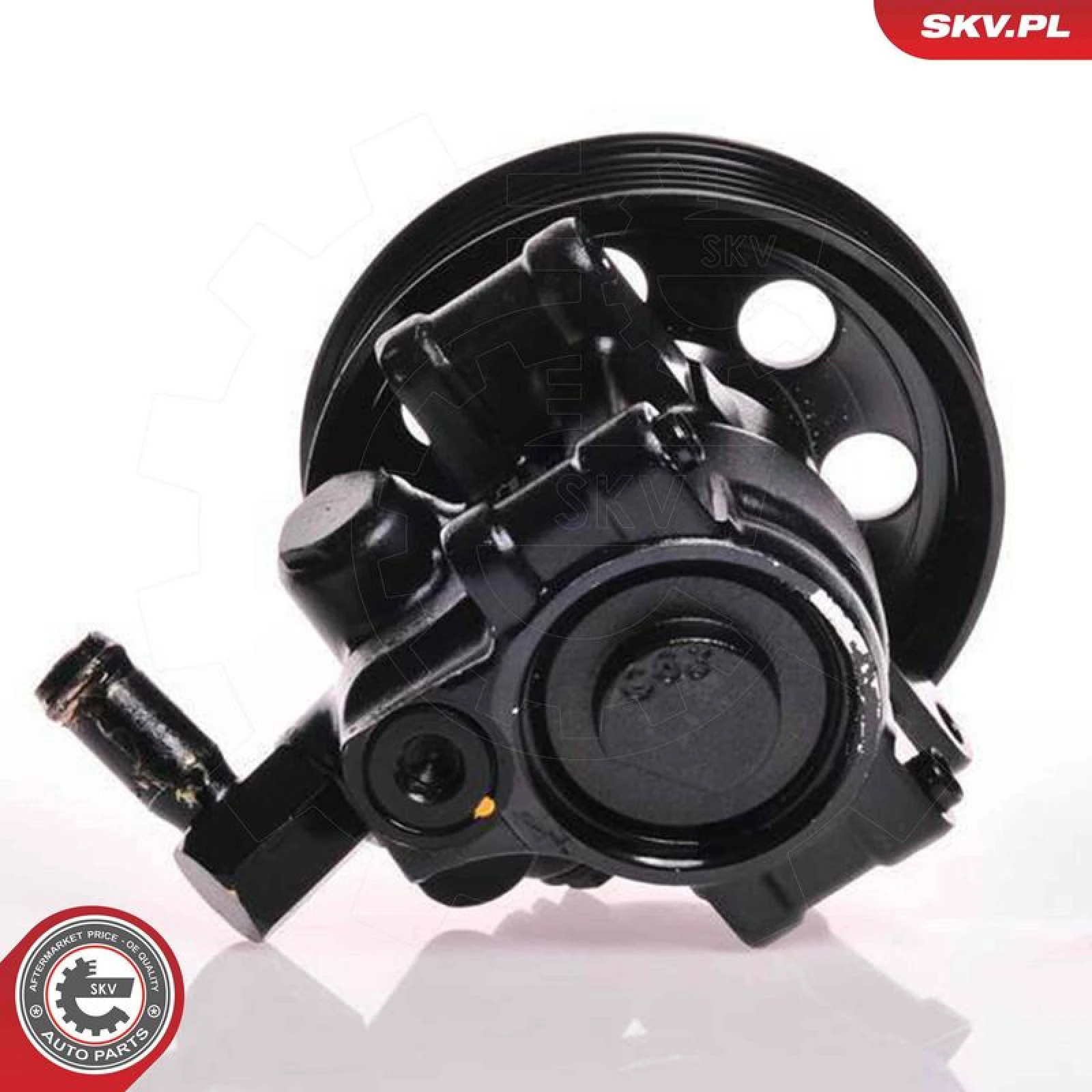SKV GERMANY Hydraulikpumpe 10SKV019