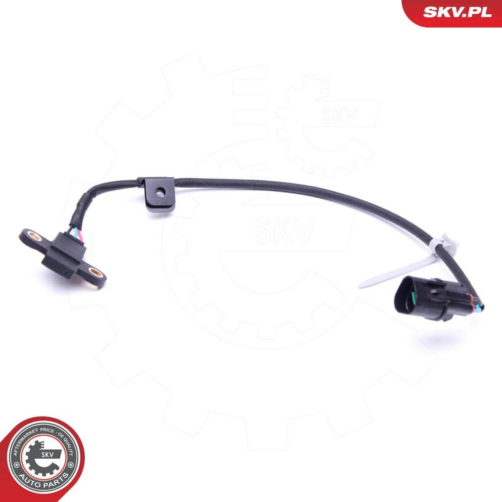 SKV GERMANY Positionssensor 17SKV541