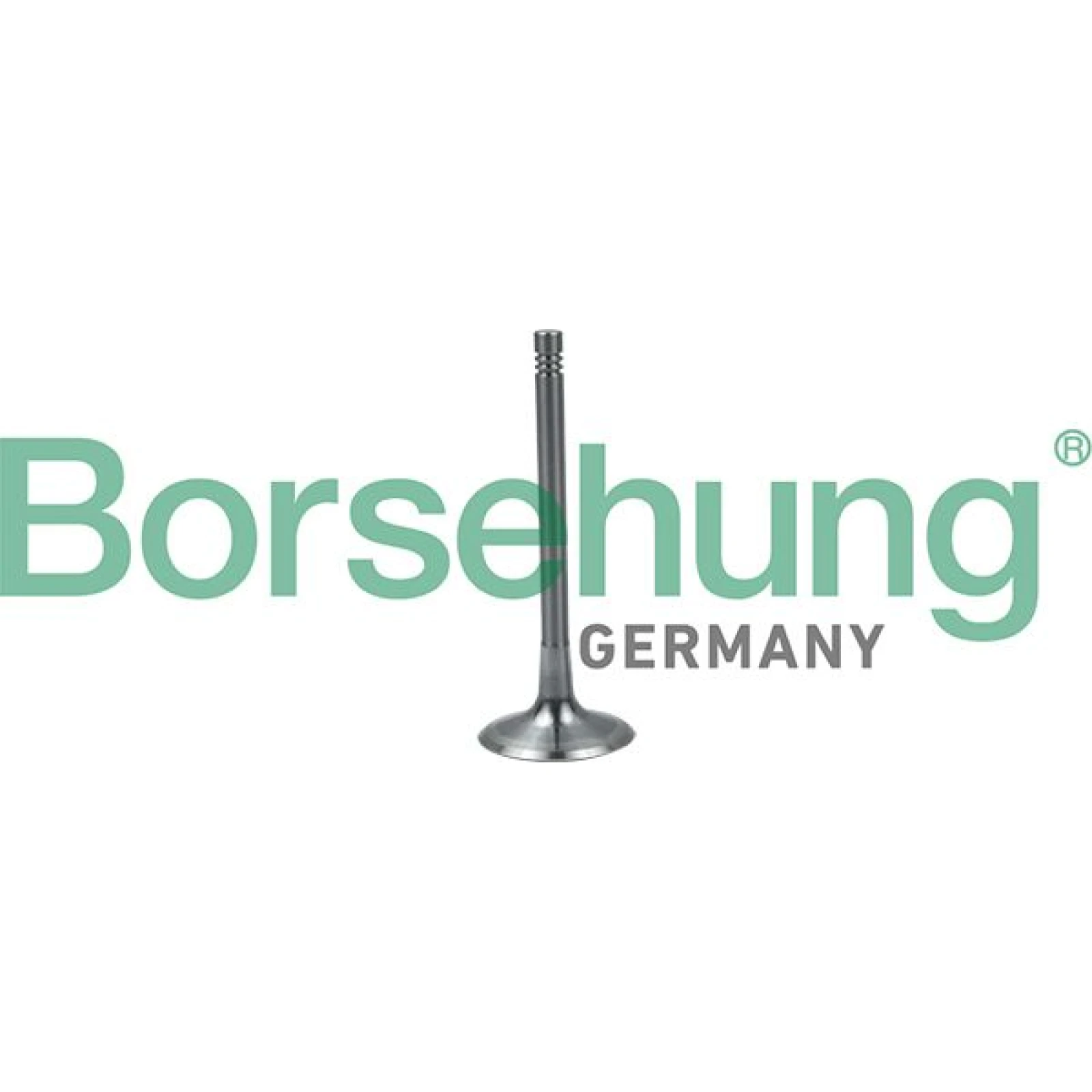 BORSEHUNG Einlaßventil B19024
