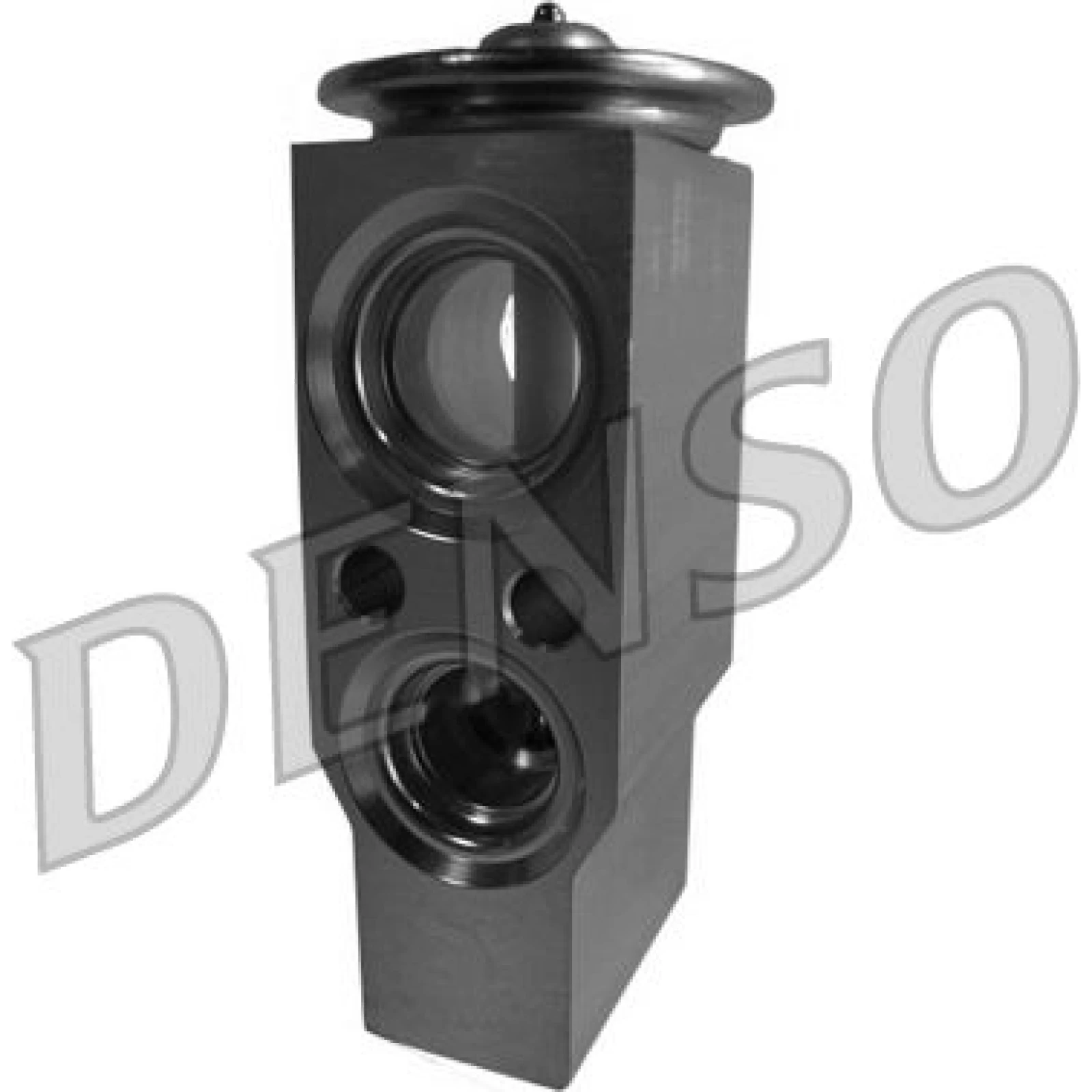 DENSO Ventil DVE20005