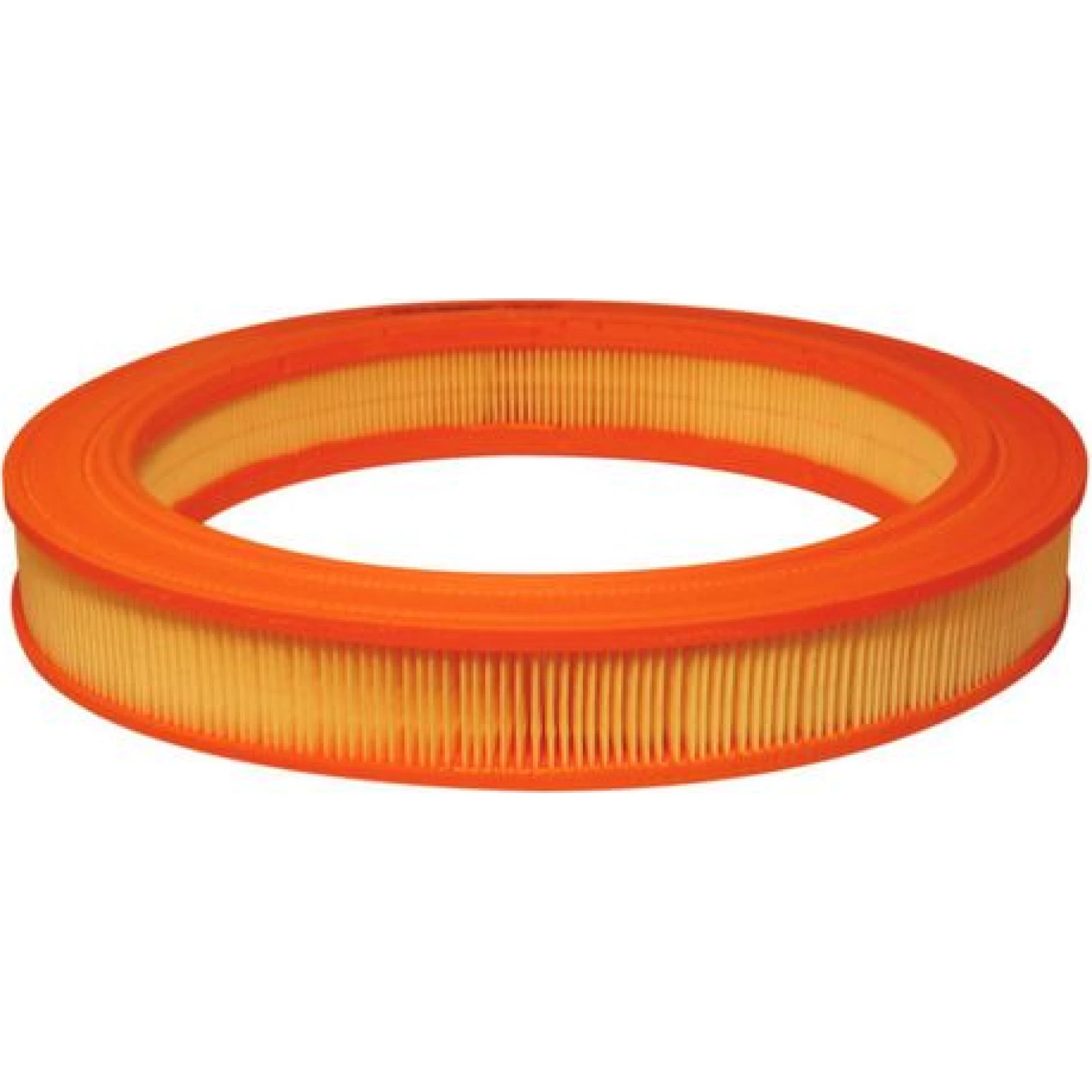 FILTRON Luftfilter AR 210