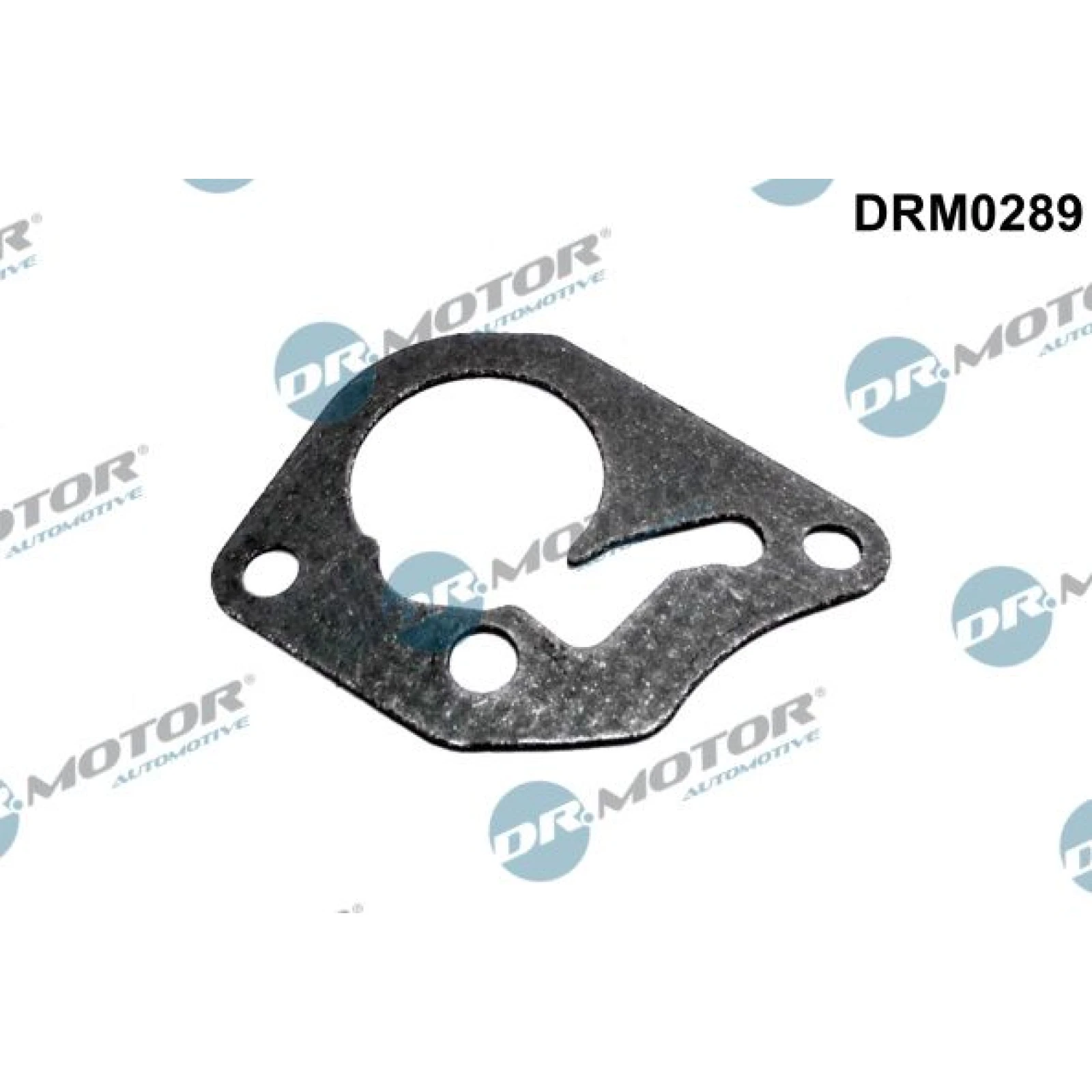 Dichtung, Unterdruckpumpe DRM0289