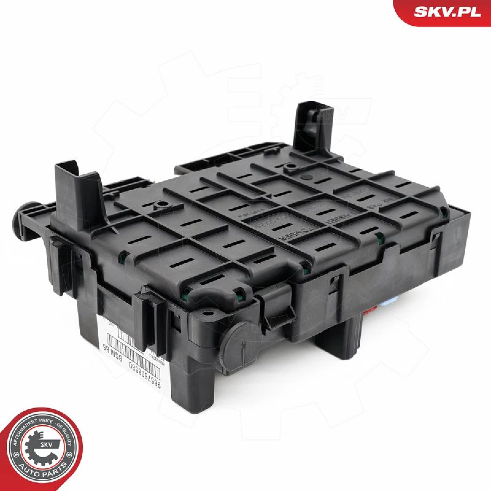 ESEN SKV Steuergerät, Motormanagement 96SKV321
