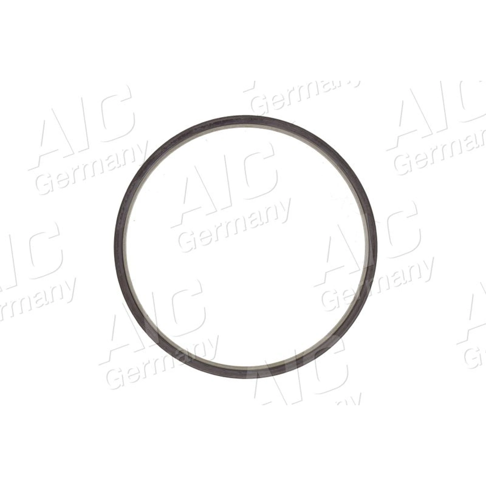 Sensorring ABS 55412