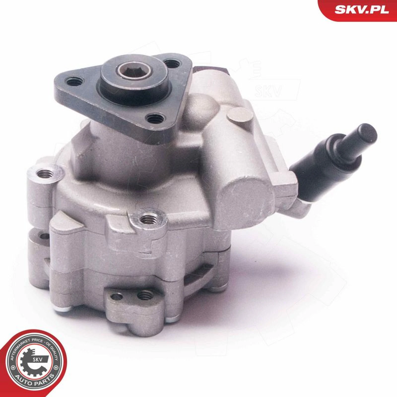 SKV GERMANY Hydraulikpumpe 10SKV030