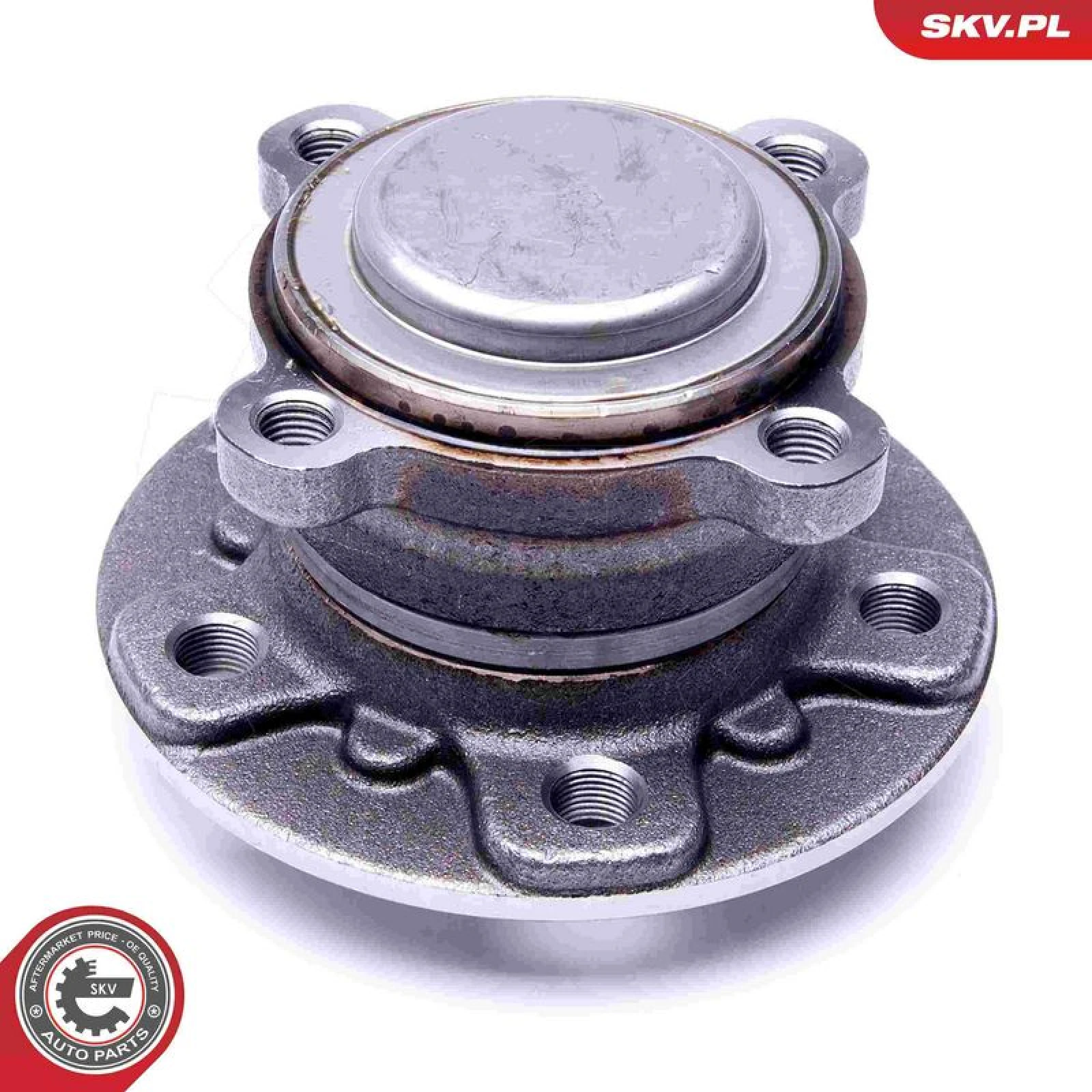 ESEN SKV Radlagersatz 29SKV303