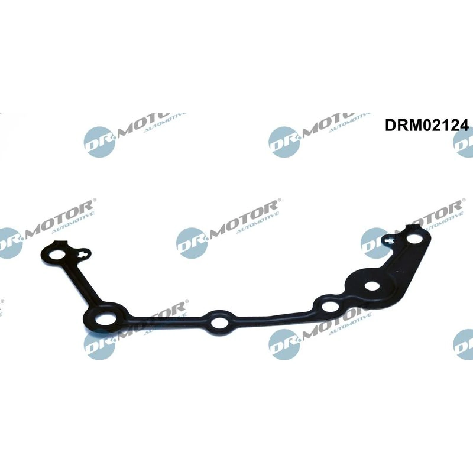Dichtung, Steuergehäuse DRM02124