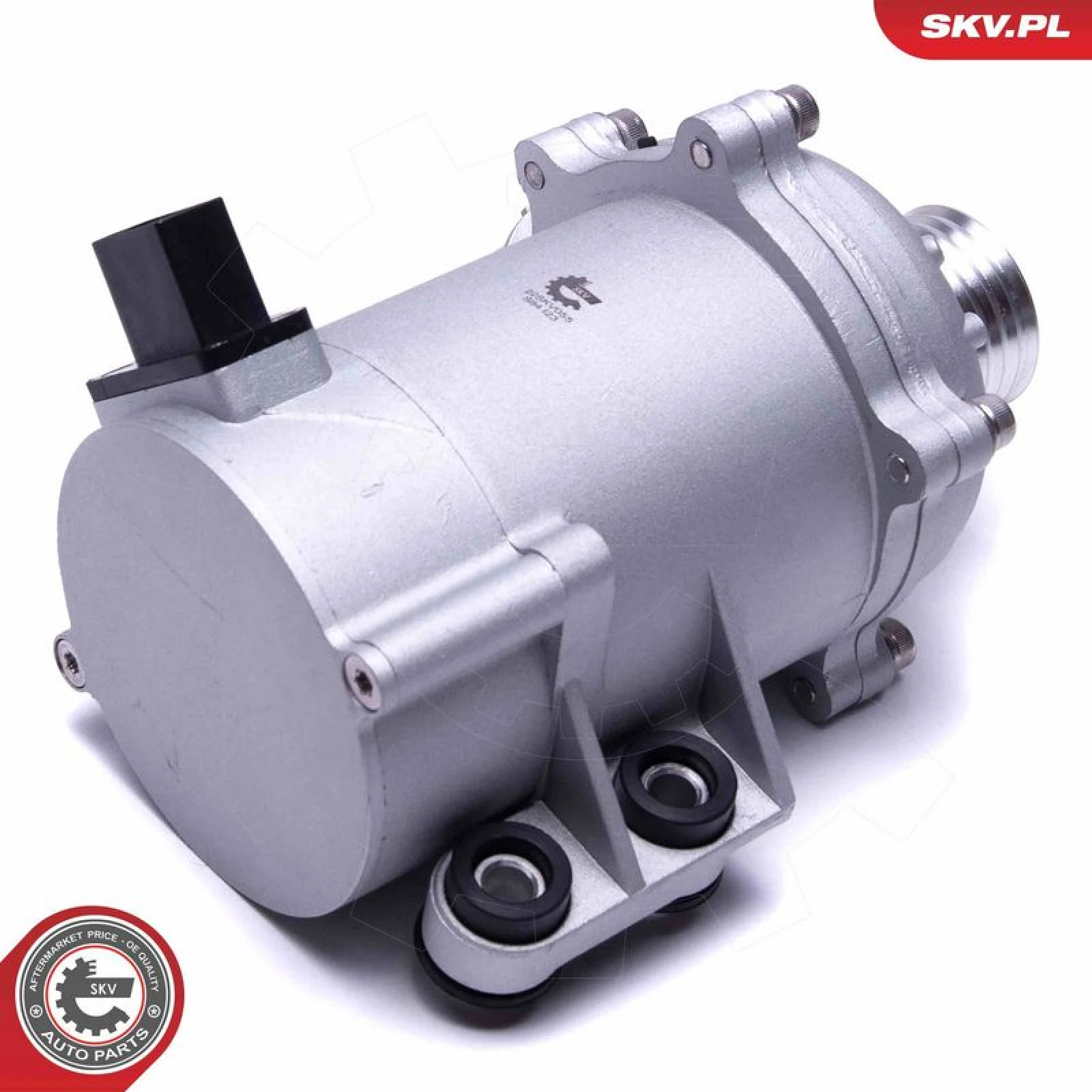 ESEN SKV Wasserpumpe 22SKV055