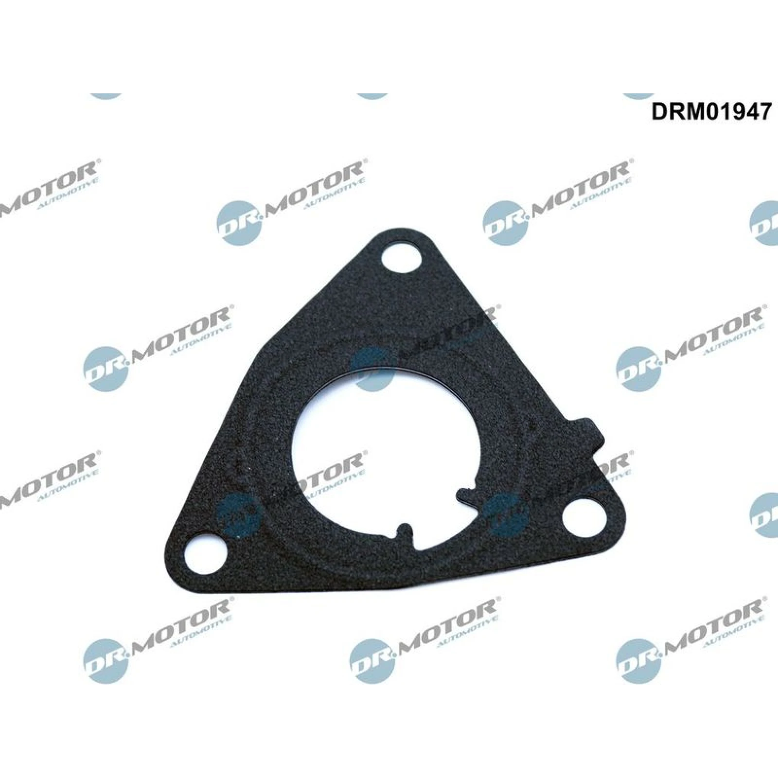 Dichtung, Unterdruckpumpe DRM01947